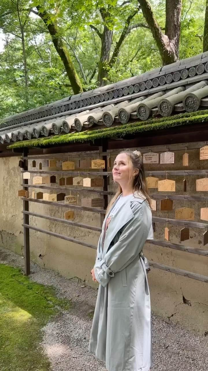 ナタリー・エモンズのインスタグラム：「今回の散歩は下鴨神社！　#ナタリーエモンズ #エモやん #discoverjapan」