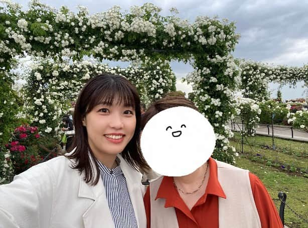 室岡里美さんのインスタグラム写真 - (室岡里美Instagram)「⁂  少し前に、母と横浜・鎌倉を旅行してきました。  母は人生初の鎌倉観光だったので、 紫陽花が咲き誇る所を見せてあげたかったのですが… まだ早かったです（笑） ほとんどが蕾の状態でした。 全然咲いてないね〜と2人で大笑いしましたが 内心わたしはションボリです。 そんな娘の気持ちを察してか、 母は「綺麗に咲くところが想像できるよ‼︎」 と喜んでくれたので、これも思い出かなと。  それにしても、この旅行は "おにぎりあたためますか"に助けられました。 取材で伺ったお店をたくさん巡って、 胃袋をレンタル出来たらどれだけ幸せだろう… と思うくらい食べたい物が多過ぎる！笑 お腹いっぱい食べて、最高の旅になりました。  皆さんも道内はもちろん、道外へ旅行の際は ぜひ、おにぎりのHPから 美味しいお店をリサーチして下さい！ 都道府県ごとにまとまっているので 調べるのもとっても簡単ですよ〜！  #HTB #旅行　#鎌倉　#横浜 #紫陽花 #おにぎりあたためますか  #室岡里美 #アナウンサー」6月16日 12時18分 - htb_satomimurooka