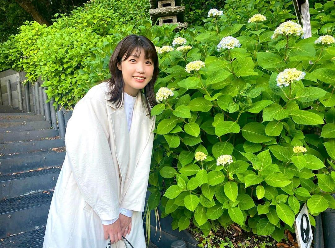 室岡里美のインスタグラム：「⁂  少し前に、母と横浜・鎌倉を旅行してきました。  母は人生初の鎌倉観光だったので、 紫陽花が咲き誇る所を見せてあげたかったのですが… まだ早かったです（笑） ほとんどが蕾の状態でした。 全然咲いてないね〜と2人で大笑いしましたが 内心わたしはションボリです。 そんな娘の気持ちを察してか、 母は「綺麗に咲くところが想像できるよ‼︎」 と喜んでくれたので、これも思い出かなと。  それにしても、この旅行は "おにぎりあたためますか"に助けられました。 取材で伺ったお店をたくさん巡って、 胃袋をレンタル出来たらどれだけ幸せだろう… と思うくらい食べたい物が多過ぎる！笑 お腹いっぱい食べて、最高の旅になりました。  皆さんも道内はもちろん、道外へ旅行の際は ぜひ、おにぎりのHPから 美味しいお店をリサーチして下さい！ 都道府県ごとにまとまっているので 調べるのもとっても簡単ですよ〜！  #HTB #旅行　#鎌倉　#横浜 #紫陽花 #おにぎりあたためますか  #室岡里美 #アナウンサー」