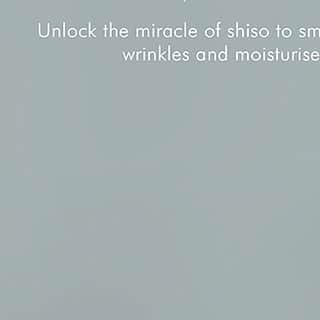 THANNのインスタグラム：「【なめらか素肌へ導く、シソの恵みのスキンケア】  - SHISO Collection - みずみずしく生命力あふれるシソ葉・種子の恵みを。 肌をうるおいで満たす、 プレステージナチュラルスキンケア。  THANN シソコレクションの鍵となるのは、 乾燥に強い植物であるシソの葉を原料に、 独自のナノテクノロジーを用いて抽出した ”シソ葉・シソ種子エキス。  ビタミンA,C,Eやロズマリン酸やポリフェノール類など、 シソならではの有用成分が凝縮されています。  オリジナルスパ「THANN SANCTUARY」での フェイシャルトリートメントにも 採用されているクオリティを、 ご自宅でのスキンケアに取り入れていただけます🌿  #thann#ナチュラルスキンケア#タイ#タイコスメ#シソコレクション#シソエキス」