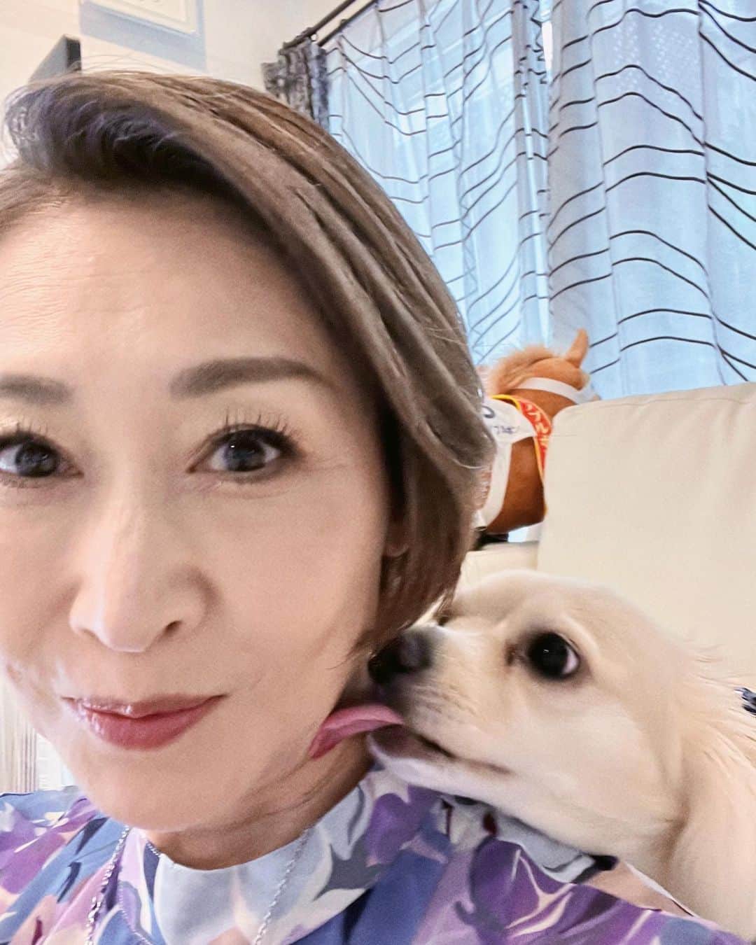 三原じゅん子のインスタグラム：「1番末っ子のカイくんがペロリ😋」