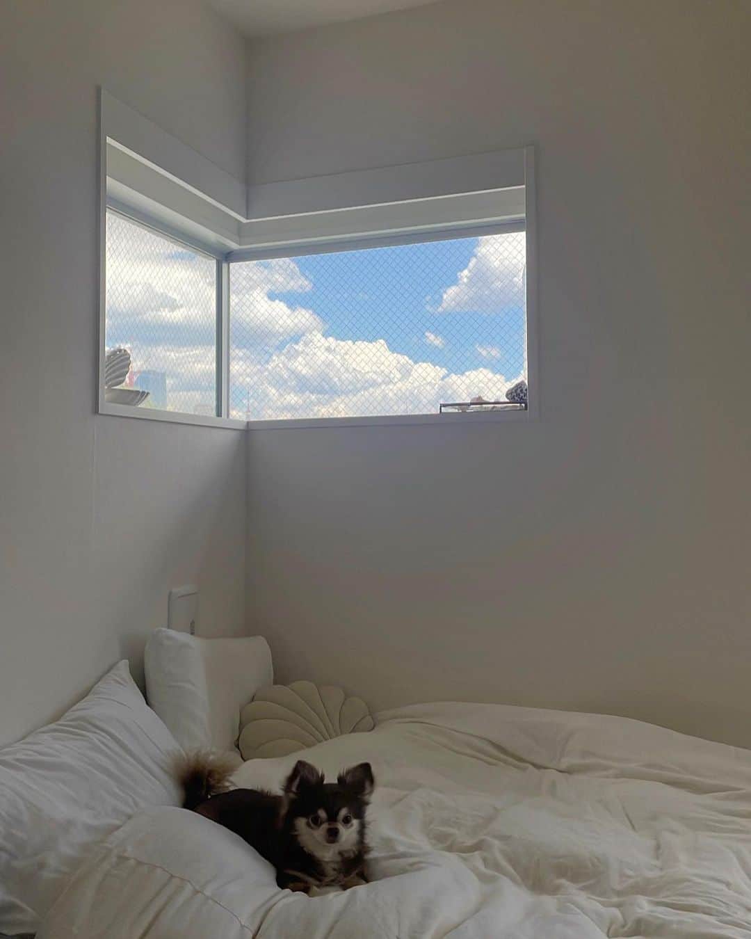 Tomomi Teradaのインスタグラム：「夏が来る窓  #tomomisroom」