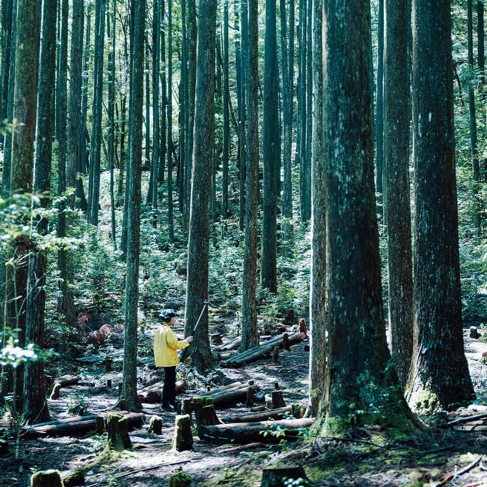 ブルータスさんのインスタグラム写真 - (ブルータスInstagram)「古の旅人が訪れた巡礼の路。聖なる森を歩き、耳を澄ます。  BRUTUS最新号「山を、歩こう。」では、音楽家の蓮沼執太さんが和歌山県・熊野古道へ。  彼がこの地を訪れたのは、視覚だけでなく、聴覚をフルに使って感じるためでもある。フィールドレコーディング機材を携えた蓮沼さんと、音を探して、世界遺産・熊野の地を歩く。  #BRUTUS #ブルータス #雑誌 #山 #山歩 #山歩き #hike #hiking #和歌山県 #熊野古道」6月20日 21時00分 - brutusmag