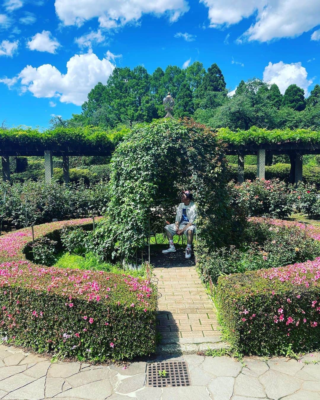 シオマリアッチさんのインスタグラム写真 - (シオマリアッチInstagram)「楽園みっけた🤤  #神代植物公園」6月16日 14時54分 - shiomariacchi