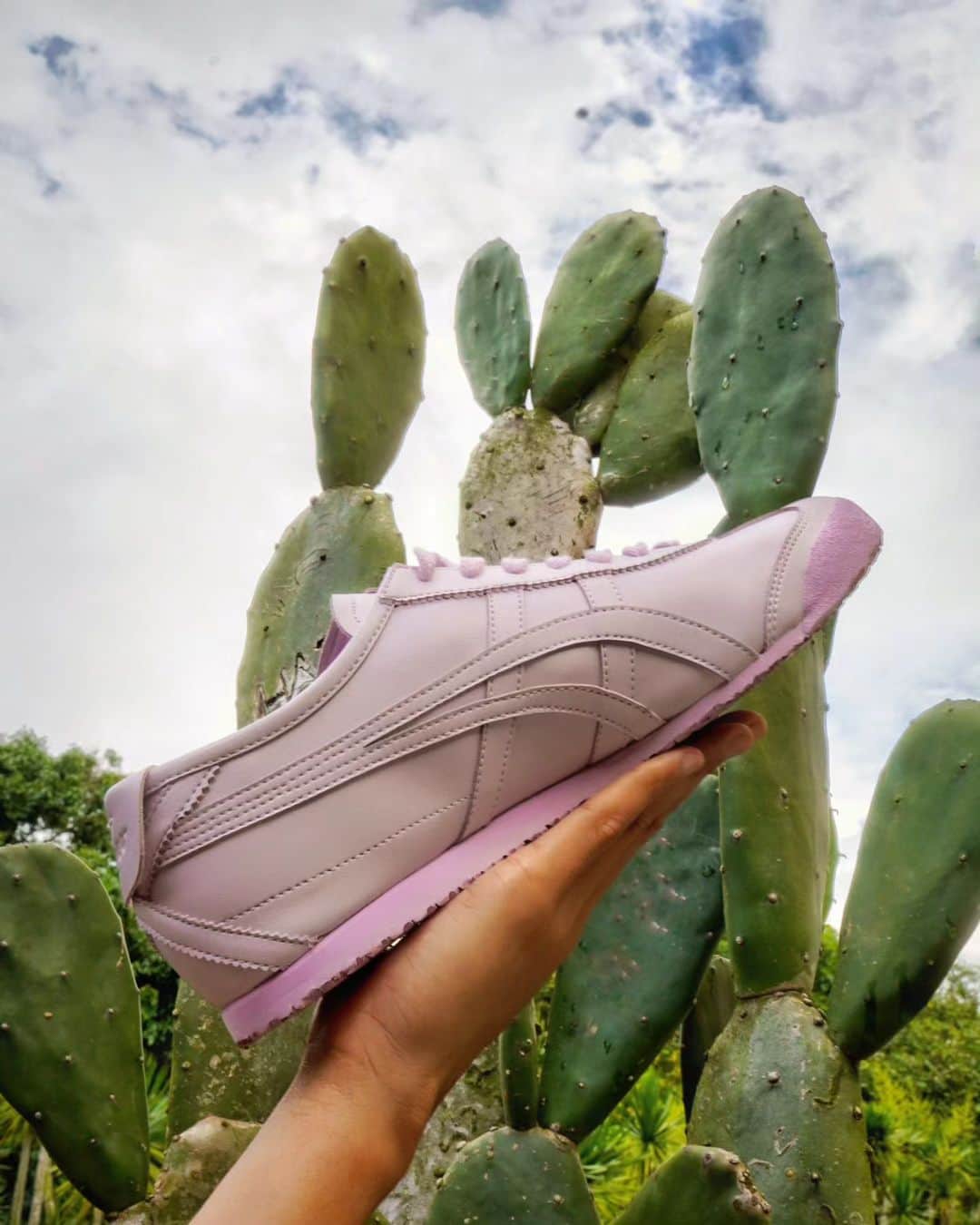 onitsuka tiger takashimaya