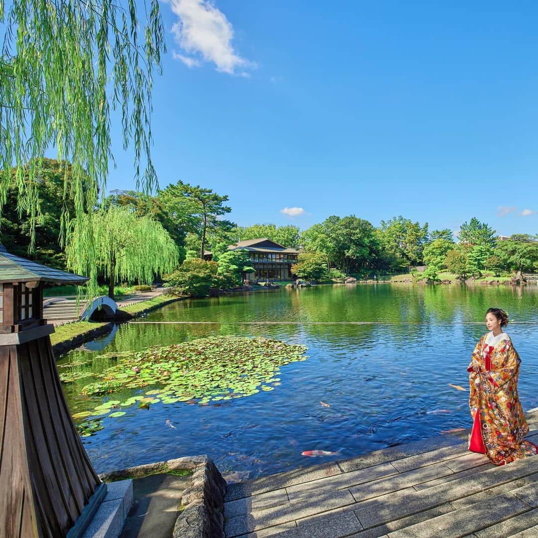 ガーデンレストラン徳川園のインスタグラム：「日本庭園×色打掛  下のアカウントより⇩ ▶︎徳川園ウェディング @tokugawaen_wedding ▶︎徳川園ウェディングレポート @tokugawaen_wedding_report  #ガーデンレストラン徳川園 #名古屋花嫁 #徳川園花嫁 #徳川園花嫁レポ」