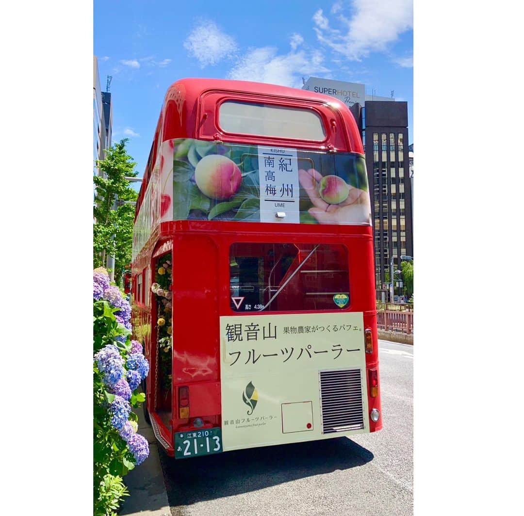 和歌山県食品流通課さんのインスタグラム写真 - (和歌山県食品流通課Instagram)「東京銀座で南高梅をPR✨️  現在「観音山フルーツパーラー銀座店」とのタイアップにより、県産南高梅の魅力発信プロモーションを実施しています。東京に行かれた際は、ぜひお立ち寄りください🇬🇧   期間：６月９日（金）～７月９日（日） 　　 （バスは毎週木曜日運休）  内容  1)観音山フルーツパーラー銀座店で梅パフェを提供 　　  2)フルーツアフタヌーンティーバスに  　　　  南高梅ラッピングを実施 　　  3)フルーツアフタヌーンティーバスで南高梅を提供 　　　　詳細は　https://parlour.kannonyama.jp/   フルーツアフタヌーンティーバスツアーは、観音山フルーツパーラー銀座店を発着地とし、南高梅や柑橘、さくらんぼ等を使ったスイーツをお楽しみいただきながら、東京の観光名所を巡る90分の「ヌン活」バスツアーです。乗ってみたいですね🤤  #南高梅  #観音山フルーツパーラー  #ヌン活  #おいしく食べて和歌山モール  #なんて素敵な和歌山なんでしょう  #和歌山県  #wakayama  #insta_wakayama  #おいしい健康わかやま  #tasty_healthy_wakayama」6月16日 17時02分 - tasty_healthy_wakayama