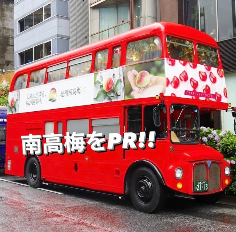 和歌山県食品流通課のインスタグラム：「東京銀座で南高梅をPR✨️  現在「観音山フルーツパーラー銀座店」とのタイアップにより、県産南高梅の魅力発信プロモーションを実施しています。東京に行かれた際は、ぜひお立ち寄りください🇬🇧   期間：６月９日（金）～７月９日（日） 　　 （バスは毎週木曜日運休）  内容  1)観音山フルーツパーラー銀座店で梅パフェを提供 　　  2)フルーツアフタヌーンティーバスに  　　　  南高梅ラッピングを実施 　　  3)フルーツアフタヌーンティーバスで南高梅を提供 　　　　詳細は　https://parlour.kannonyama.jp/   フルーツアフタヌーンティーバスツアーは、観音山フルーツパーラー銀座店を発着地とし、南高梅や柑橘、さくらんぼ等を使ったスイーツをお楽しみいただきながら、東京の観光名所を巡る90分の「ヌン活」バスツアーです。乗ってみたいですね🤤  #南高梅  #観音山フルーツパーラー  #ヌン活  #おいしく食べて和歌山モール  #なんて素敵な和歌山なんでしょう  #和歌山県  #wakayama  #insta_wakayama  #おいしい健康わかやま  #tasty_healthy_wakayama」