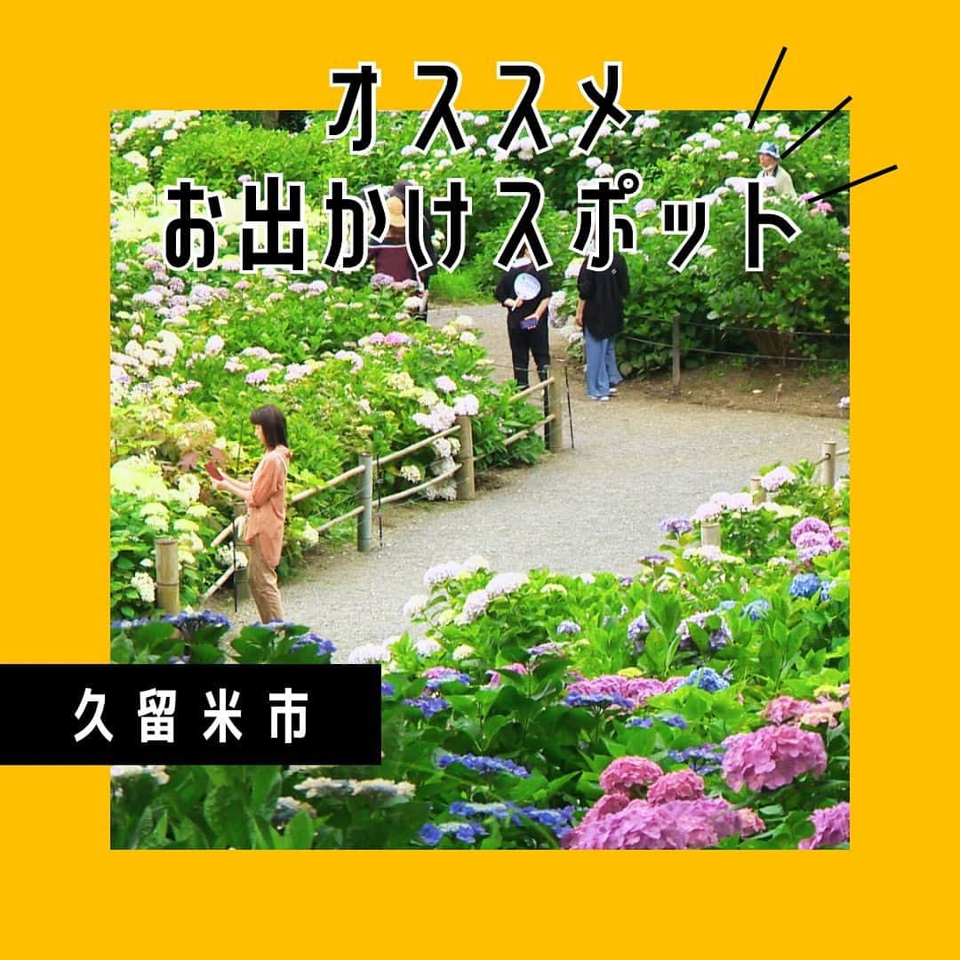 テレビ西日本「ももち浜ストア」のインスタグラム