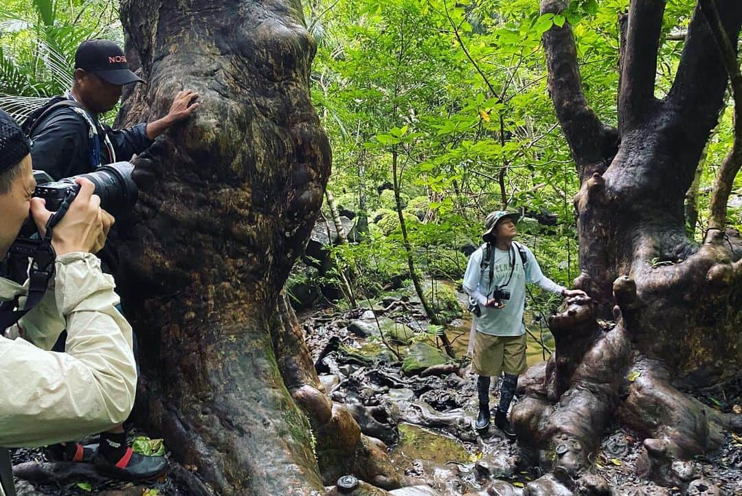 網中健太さんのインスタグラム写真 - (網中健太Instagram)「BRUTUS最新号「山を、歩こう。」にて、井浦新さんと大好きな西表島を歩いてきました。圧倒的な自然に身を委ね、感覚を研ぎ澄ましシャッターを切り続けた3日間。是非誌面にてご覧ください⛰  4枚目の写真は、西表島に到着した日の空き時間での一コマ。新さんと美しい海を目の前に、"なにもしない"をした幸せな時間でした。（📷 @tsuyoshinakanishi ）  新さん、ありがとうございました！またどこか一緒に歩きましょう⛰  Md @el_arata_nest さん W @kosuke_kobayashi さん Ed @tsuyoshinakanishi さん（ @brutusmag ） Special thanks to @iriomote_umanchu_cafe  敏夫さん・素敵な奥様 Ph @kentaaminaka_portrait   #井浦新  #arataiura  #brutus  #西表島  #iriomoteisland  #portrait  #網中健太  #kentaaminaka」6月16日 19時24分 - kentaaminaka_portrait