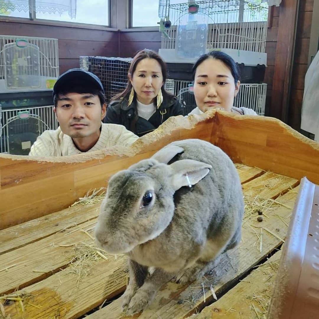 おかざきななのインスタグラム：「@n.okazaki 【グランピングとマザー牧場】  こんばんは。 おかざきななです。  6月はじめ… 大好きな家族と グランピング＆マザー牧場へ 行ってきました(*^^*)  大自然と可愛い動物たちに囲まれて リフレッシュ♡♡  魅力向上、美人の秘訣は… @n.okazaki の過去投稿からチェックよ💖  おかざきななの公式LINEでは さらに詳しく 「大人の色気」「魅力アップ」をお伝えしています。 ハイライトからチェックよ💋 ＿＿＿＿＿＿＿＿＿＿＿＿＿＿＿＿＿＿＿＿＿＿＿＿  この投稿が役に立つと思ったら いいね＆コメントもよろしくお願いいたします💋  人は20分後には約40％… 1日後には70％忘れてしまうと言われているの！  後で見返したい・忘れたくない時は保存をしてくださいね♪ おかざきななへの質問もお気軽にコメントから💖  #おかざきなな #美魔女#還暦美女  #女性起業家 #大人の色気 #大人の色気セミナー#ヴィジュアルトレーニング #女性経営者の休日 #マザー牧場 #グランピング #家族旅行」