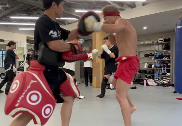 Team VASILEUS sweat set up 【限定版】武尊 | vrealitybolivia.com