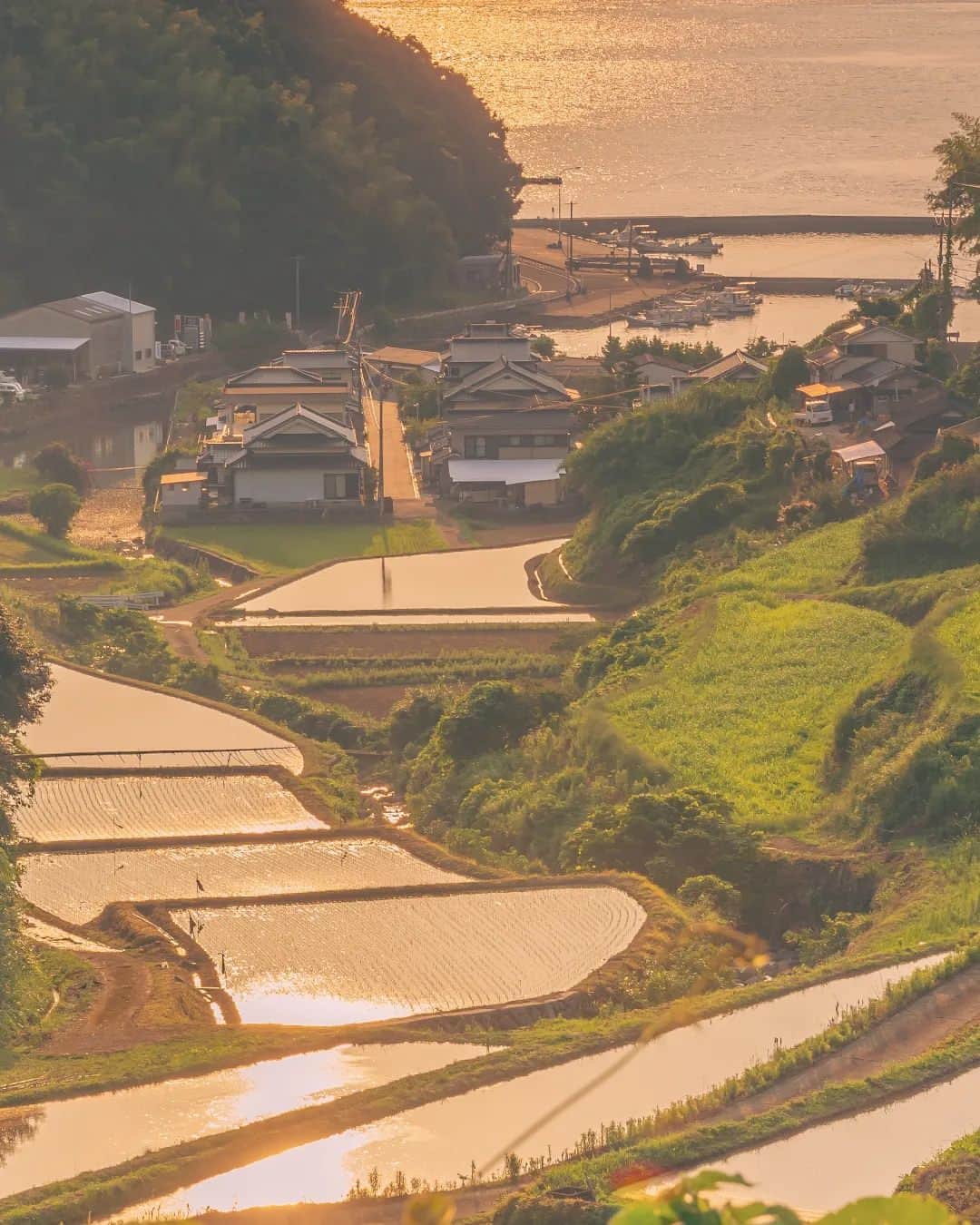 鹿児島よかもん再発見さんのインスタグラム写真 - (鹿児島よかもん再発見Instagram)「長島町にある船津の棚田へ(^-^)/  夕暮れ、早めに長島に着いたので、少し道草をくって到着したら、すでにスタンバイされている方々が💦  ご一緒して頂いた皆様、ありがとうございましたm(__)m  ※Instagramの画角はちょっと狭くなるので少し不満でもあります😢  ※撮影条件が合うことが少ないので、日によって撮影者が集中することもあるかもしれないです。地域の皆様のご迷惑にならないように、安全&通行の妨げにならないように配慮しましょう。  #鹿児島 #鹿児島観光 #長島 #長島町 #長島町観光 #蔵之元 #船津の棚田 #鹿児島の風景 #鹿児島の自然 #棚田 #kagoshima #kagoshimaphoto #kagoshimaphotograph」6月16日 19時48分 - kagoshimayokamon