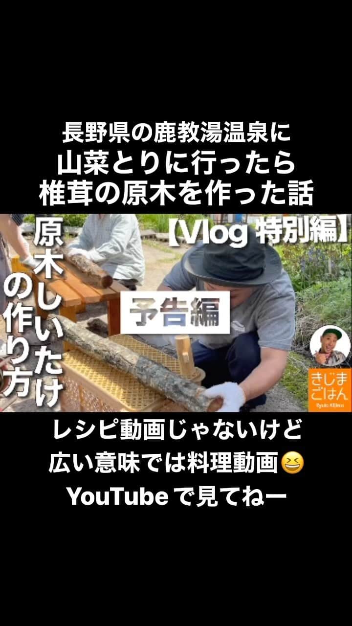 きじまりゅうたのインスタグラム：「長野県上田市 #鹿教湯温泉 に山菜採りに行ったら椎茸の原木つくりをやらせてもらった話。 レシピ動画じゃないけど、広い意味で料理動画！笑 #きじまごはん 火曜金曜に新作レシピ動画をアップ」