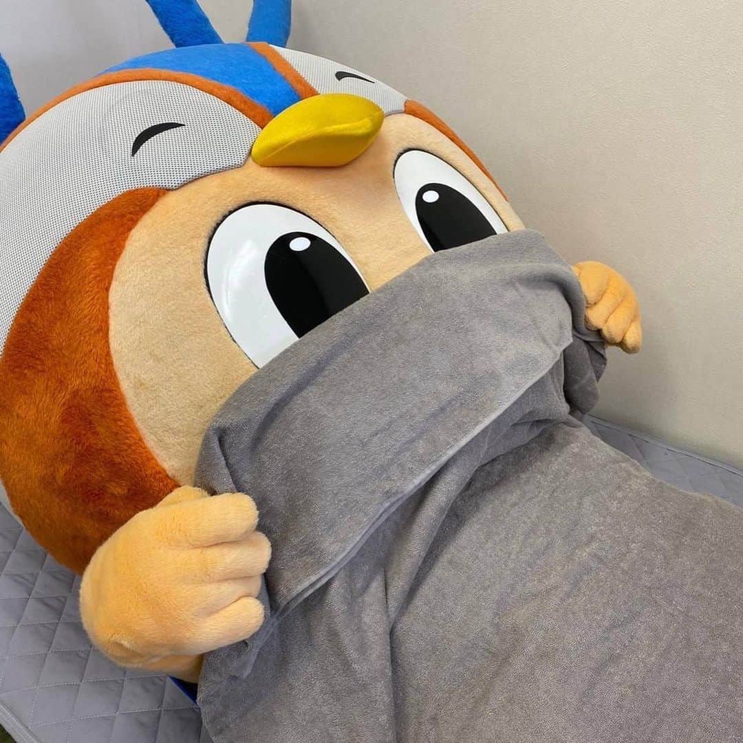 ヴィヴィくんさんのインスタグラム写真 - (ヴィヴィくんInstagram)「しっかり、すやすやっ🐥💤 しっかり、もぐもぐっごくごくっ🐥🍙🍵 しっかりねっちゅうしょうたいさくをおこなって、げんきにおでかけっ＼(^o^)／🎶  あしたは大宮アルディージャせん⚽✨ サポさんたちとトラスタでげんきにおあいできるのをたのしみにしています🐥🎶  #vvaren #vファーレン #vファーレン長崎 #長崎 #ヴィヴィくん #都倉せんしゅ、おたんじょうびおめでとうございますっ🎉⚽✨ #おてんき、おんど、しつどもようチェック💡」6月16日 20時23分 - vivikun_vvn