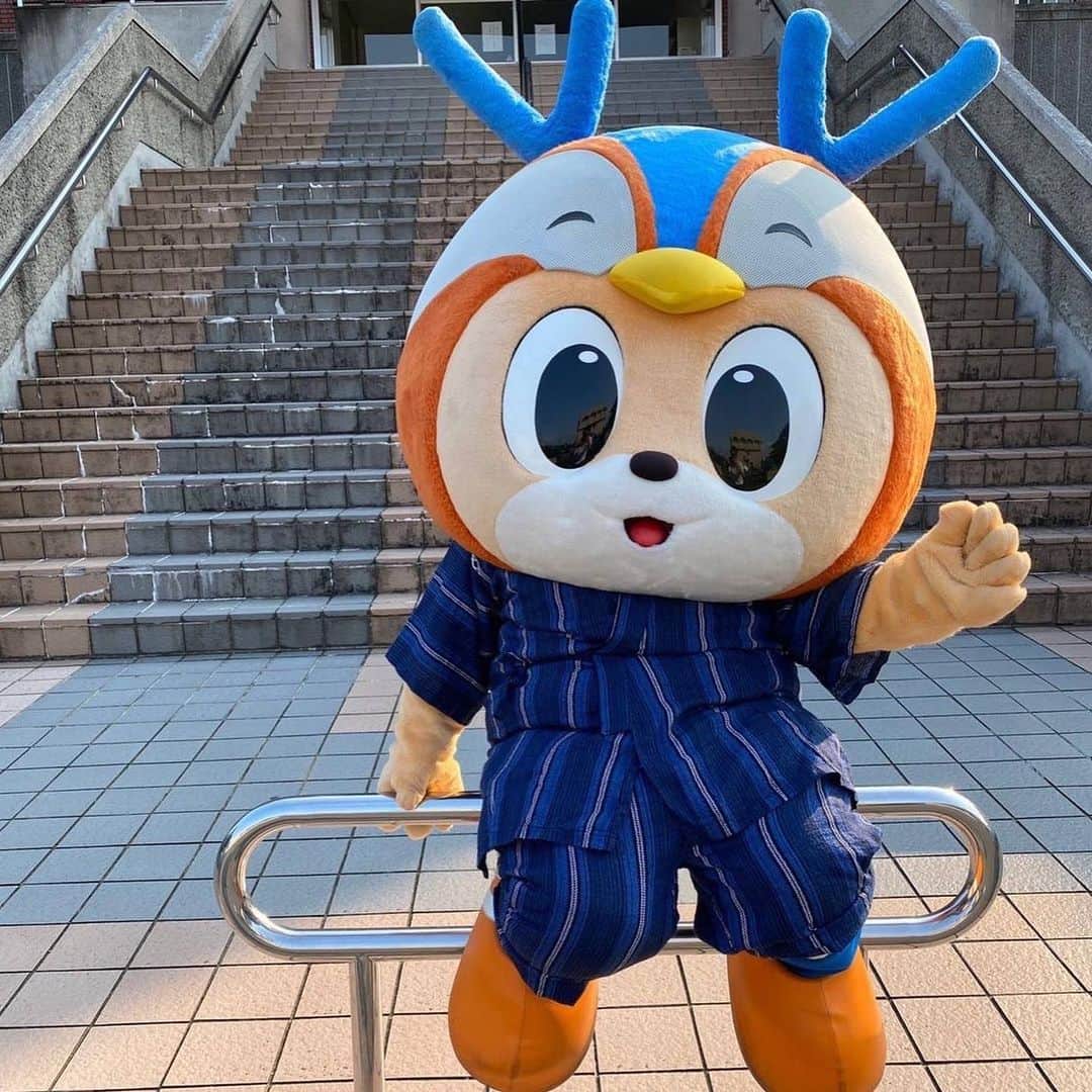 ヴィヴィくんさんのインスタグラム写真 - (ヴィヴィくんInstagram)「しっかり、すやすやっ🐥💤 しっかり、もぐもぐっごくごくっ🐥🍙🍵 しっかりねっちゅうしょうたいさくをおこなって、げんきにおでかけっ＼(^o^)／🎶  あしたは大宮アルディージャせん⚽✨ サポさんたちとトラスタでげんきにおあいできるのをたのしみにしています🐥🎶  #vvaren #vファーレン #vファーレン長崎 #長崎 #ヴィヴィくん #都倉せんしゅ、おたんじょうびおめでとうございますっ🎉⚽✨ #おてんき、おんど、しつどもようチェック💡」6月16日 20時23分 - vivikun_vvn