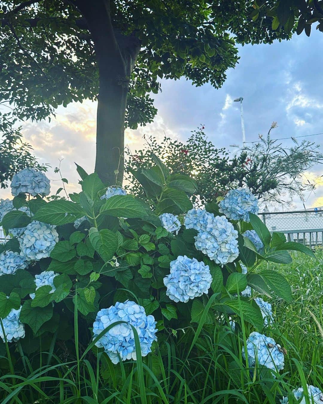 清瀬汐希さんのインスタグラム写真 - (清瀬汐希Instagram)「🤳🏻💙」6月16日 20時50分 - yuki_kiyose_