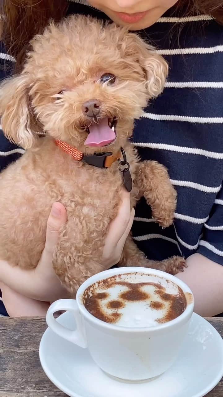 チョン・ユネ のインスタグラム