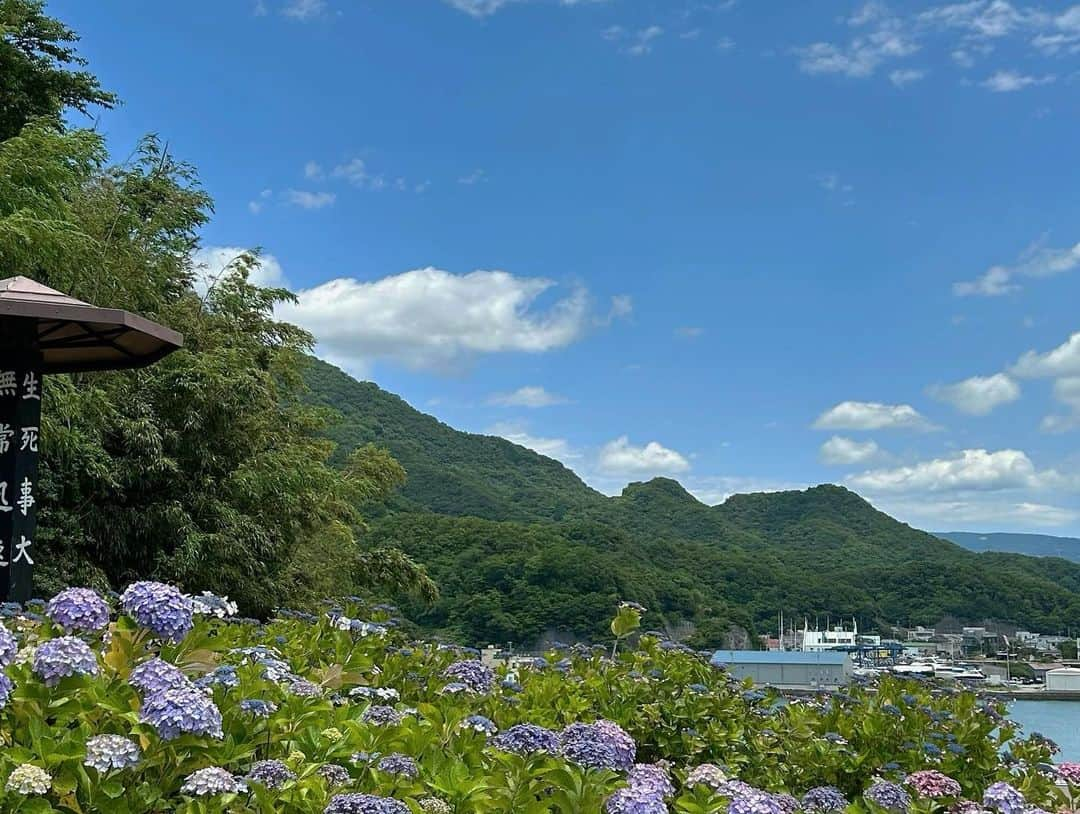 真野淑實さんのインスタグラム写真 - (真野淑實Instagram)「トコチャンワイド 金曜日の「きになる」では静浦にあります 照江寺さんから生中継🎤  境内にある、あじさい園が 見事で、数百株も植えられているそう… 紫陽花のグラデーションが 本当に美しくて浄化されました💠  来週中頃までが見頃だそうです！ 海と紫陽花のコラボレーションも うっとりします〜👀 ぜひ再放送もご覧ください🙇‍♂️  #トコチャンワイド #沼津 #照江寺 #静浦  #静岡 #静岡観光 #沼津観光 #紫陽花  #アナウンサー #リポーター」6月16日 20時55分 - rie_mano