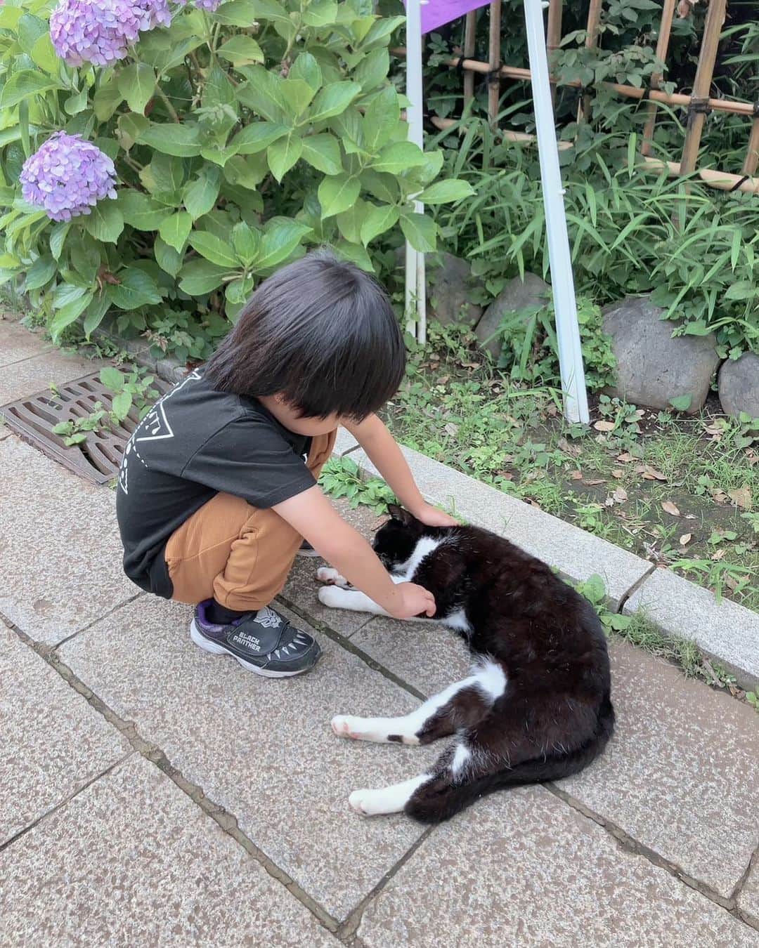 アレクサンダーのインスタグラム：「猫好き  #江ノ島」