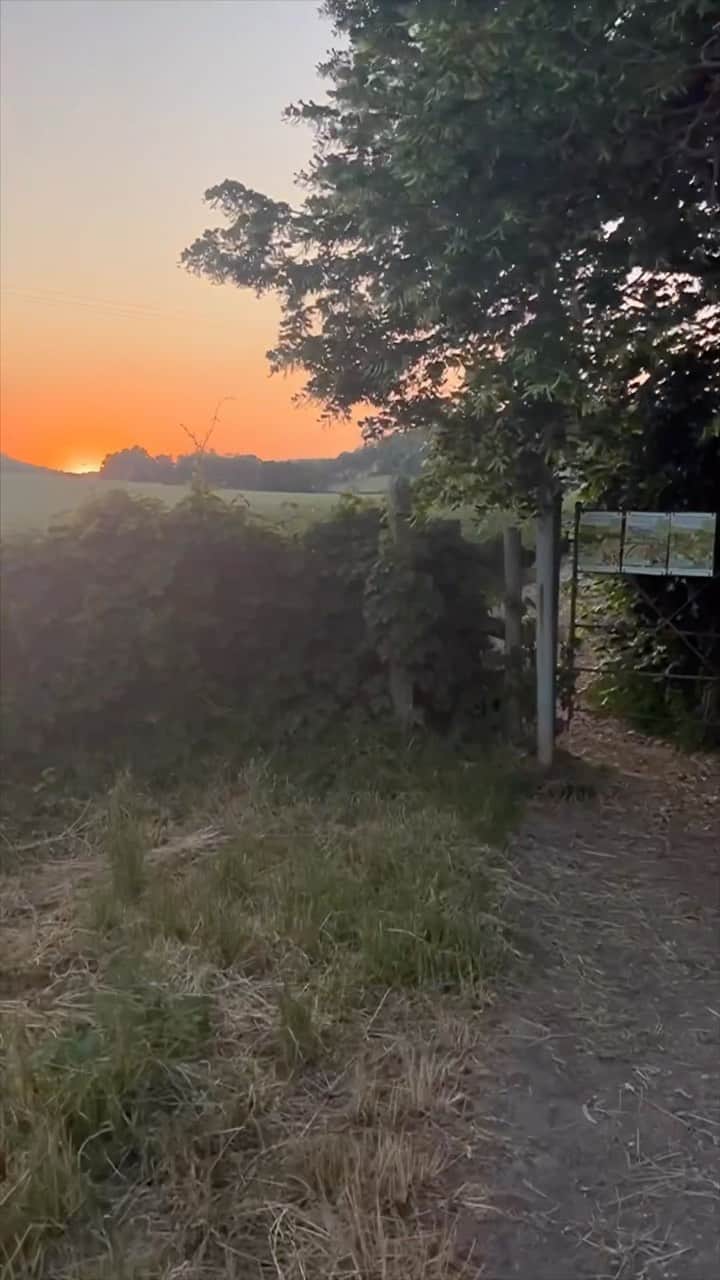 JO BAKERのインスタグラム：「Everything is less than a mile from my mums cottage… how healing it is to be back home in the motherland 🇬🇧❤️‼️ #england #summertime @nationaltrust #buckinghamshire #🇬🇧 #home #local #country life ‼️ #aboutthatlife #englishsummer #heaven」