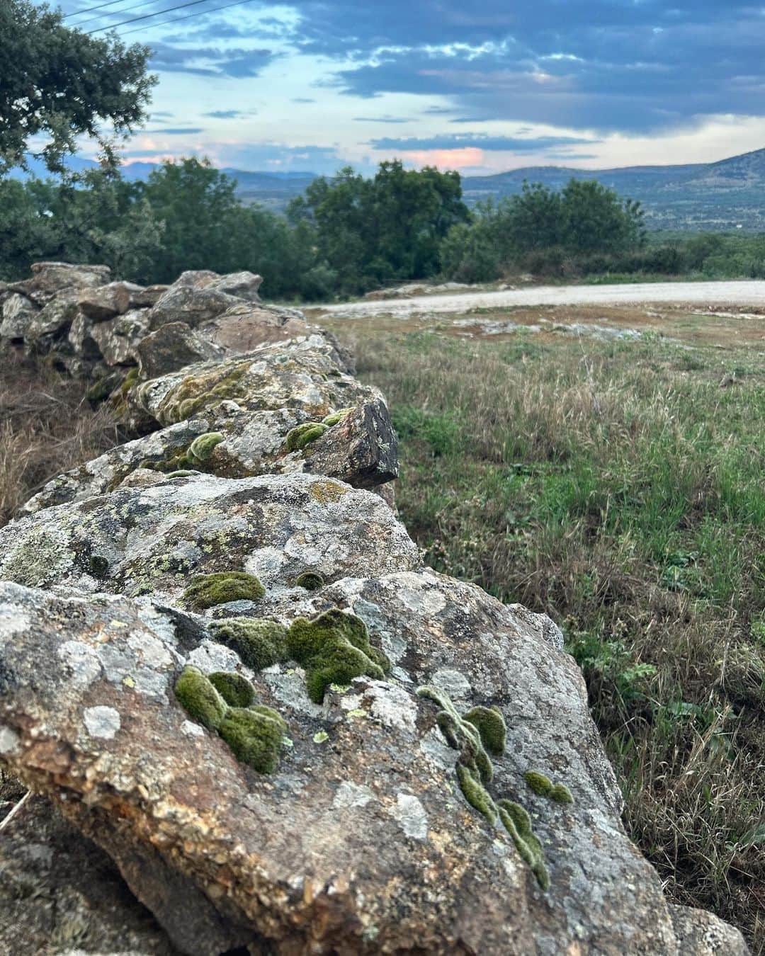 サラ・カルボネロさんのインスタグラム写真 - (サラ・カルボネロInstagram)「Abre el camino, no lo sigas.   🍃🌳🌩☮️ ✨   #buencamino」6月16日 21時35分 - saracarbonero
