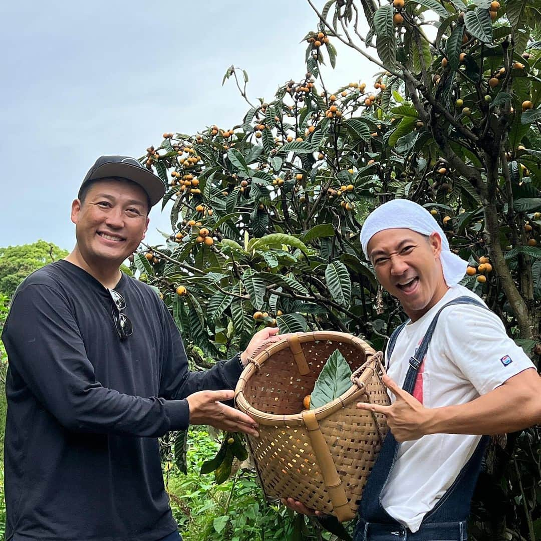 木尾陽平のインスタグラム：「うぉりゃー！びわ狩りじゃー！ 一昨日淡路島で狩ってきました！ 淡路島のびわ、うんま～い！あんま～い！  藤崎マーケット田崎さんとのびわ狩りも三年目！ 過去2年のびわ狩りの様子は田崎さんのYouTubeでチェックしてください！  長太水産の東根船長、いつもありがとうございます！ @chouta_fishing_boat  #ボケまくり船長」