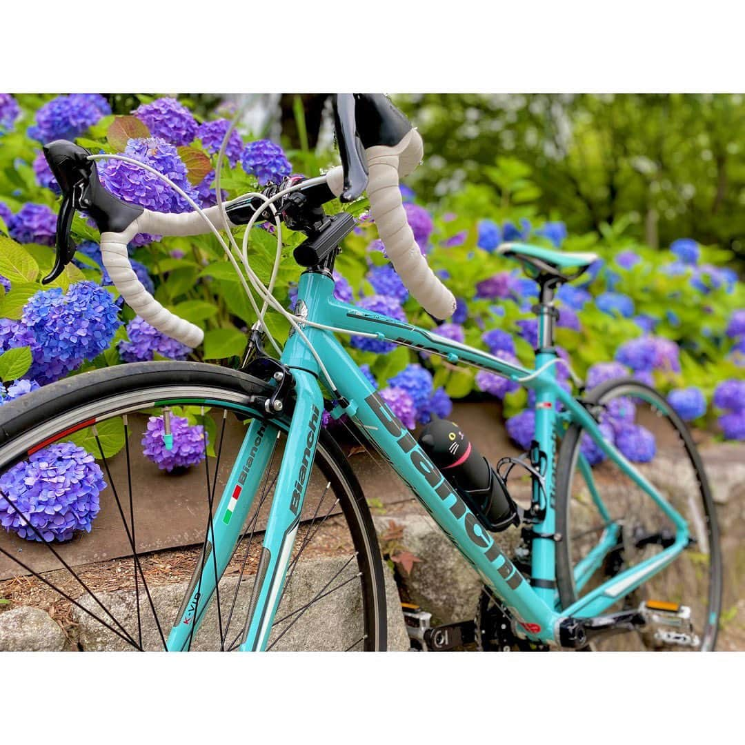 荒野姫楓さんのインスタグラム写真 - (荒野姫楓Instagram)「本日で納車から一年が経ちました🚲㊗️🎉  いつも投稿を見てくださり 本当にありがとうございます！  まさか自分がロードバイクにハマり、 今家にロードバイクがある事にもびっくりします（笑）  1年前の私、ありがとう！  そして私の影響で自転車を新しく始めた方が 沢山いらっしゃる事もとても光栄です！  輪が広がってきています、嬉しいな🫶  興味が尽きない、好奇心旺盛だからこそ 色んな方と趣味が合って話が盛り上がったりして きっかけが多いアイドルだと自信を持って言えます✌️  そうして、ロードバイク乗りの方が 握手会やトーク会に来てくださることも すごーーく増えました！！ありがとうございます…！！  そしてロードバイク始めてからスタミナがついて パフォーマンスにも良い影響になってると思います。  SKE48の劇場公演、コンサートは トレーニングみたいに激しいので！  良かったらまだSKE48の現場に行ったことのない方に 来ていただきたいです！すごく元気が出ると思います！！  私は、8/6 仙台、8/27 東京　に行われる夏のツアーに出演しますので またお知らせします！気になったら是非！！💙 SKE48もいいぞー！  .  これからもどんどんロードバイクの輪から SKE48の輪を広げられるように、  グループを盛り上げられる存在に なれるよう頑張り続けます！！  これからも自分なりに発信していきますので どうぞよろしくお願いします！🚴‍♂️💨  . #納車#1周年#思い出#名古屋#名古屋アイドル #aichi #nagoya #ロードバイク #ロードバイク女子 #ロードバイク初心者 #ロードバイクのある風景 #ゆるポタ #ポタリング #cycling #bianchi #ビアンキ #ビアンキ女子 #roadbike #roadbikegirl #cyclingstyle #cyclingwoman #asiangirlcyclists #asiangirls#firstanniversary#anniversary#Japan #公路車 #자전거 #로드자전거」6月16日 22時46分 - _arnhmk_