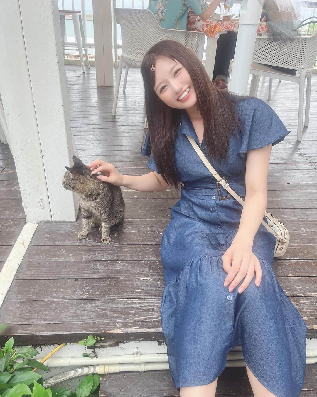 夢実あすかさんのインスタグラム写真 - (夢実あすかInstagram)「ウミカジテラスの猫ちゃんと写真撮ってもらいました(｢ФДФ)｢ｼｬｰ‪‪❤︎‬ ．  ． 人間なれしててめちゃくちゃ可愛かった🥹次行った時はもっと近い距離で座れたらいいな💭ウミカジテラスのアイドル！🐱 ．  ．  ．  ．  ．  ．  ．  ．  ． #japaneseidol #japanesegirl #idol #instagood #instalike #selca #followforfollowback #selfie #today #ootd #dailylook #instafashion #followme  #makeup #今日のコーデ  #アイドル  #ヘアアレンジ #アイドル前髪 #沖縄旅行 #沖縄 #八重歯女子 #笑顔 #ウミカジテラス #猫 #いいね返し #自撮り #自撮り女子 #自撮り界隈 #推してください #ワンピースコーデ」6月16日 22時59分 - asukadayou213