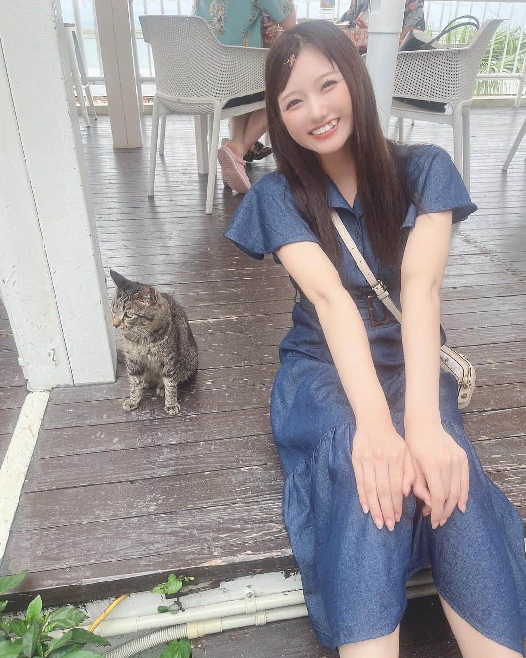 夢実あすかさんのインスタグラム写真 - (夢実あすかInstagram)「ウミカジテラスの猫ちゃんと写真撮ってもらいました(｢ФДФ)｢ｼｬｰ‪‪❤︎‬ ．  ． 人間なれしててめちゃくちゃ可愛かった🥹次行った時はもっと近い距離で座れたらいいな💭ウミカジテラスのアイドル！🐱 ．  ．  ．  ．  ．  ．  ．  ．  ． #japaneseidol #japanesegirl #idol #instagood #instalike #selca #followforfollowback #selfie #today #ootd #dailylook #instafashion #followme  #makeup #今日のコーデ  #アイドル  #ヘアアレンジ #アイドル前髪 #沖縄旅行 #沖縄 #八重歯女子 #笑顔 #ウミカジテラス #猫 #いいね返し #自撮り #自撮り女子 #自撮り界隈 #推してください #ワンピースコーデ」6月16日 22時59分 - asukadayou213