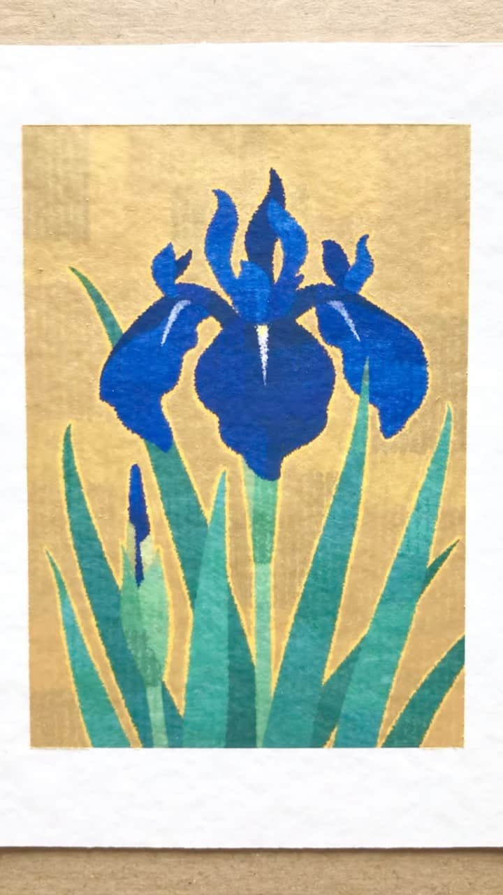 藤谷壮仁郎のインスタグラム：「燕子花 iris painting mixed media ・ミクストメディア（ジークレー版画に手描きで金色を彩色） ・ ・ ・ ・ @soujirou_art  #自然 #植物 #燕子花 #杜若 #カキツバタ #花 #藤谷壮仁郎 #イラスト #絵画 #ミクストメディア #金彩 #nature #plant #iris #flower #soujirou #art #artist #painter #painting #picture #ornament #illustration #flowerart #mixedmedia #instaart」