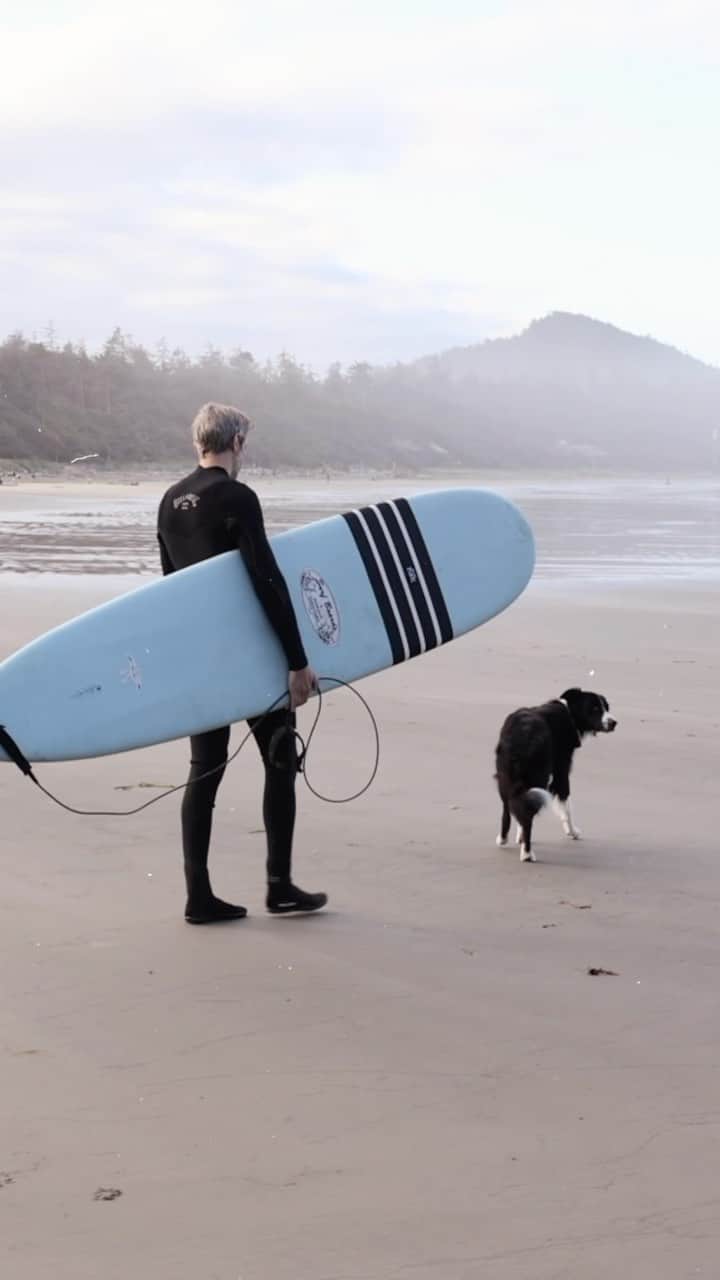 Andrew Knappのインスタグラム：「Couple of members of the #ORIJENPack here, promoting healthy livin’. #ad  Physical health has really become one of the main focusses of my life lately, and the dogs don’t mind at all. I’ve been pushing myself to enjoy the outdoors a little more this year as well with the dogs. Went surfing for the first time in years, and I’ve been running a lot more, which Yaya and Boo love.  Our adventures need quality fuel, and @ORIJENPetfood’s nutrition give Yaya and Boo the energy they need so we’re all showing up at our best.   What adventures are you filling your summer with?  #ORIJEN」