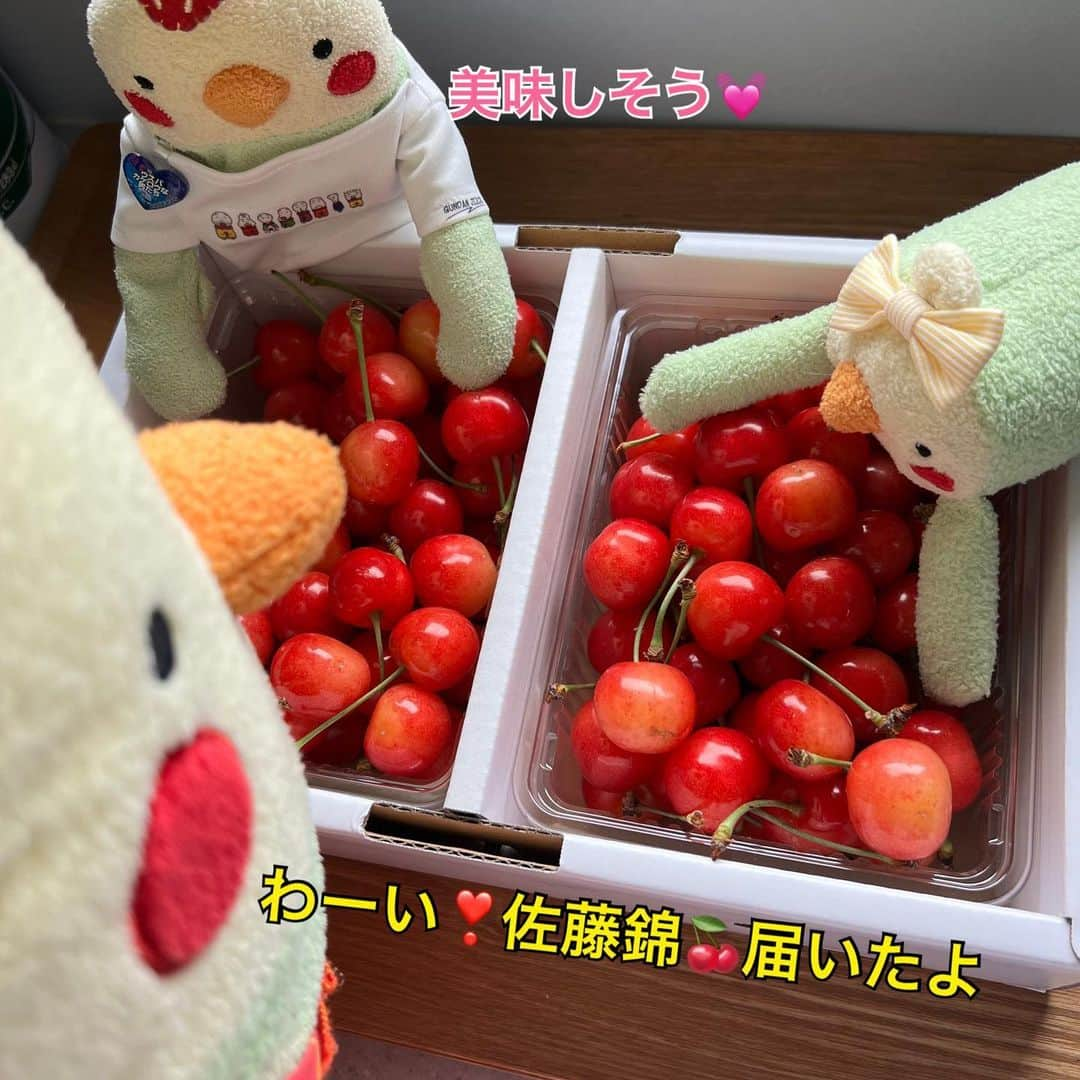 江口ともみさんのインスタグラム写真 - (江口ともみInstagram)「おきちゃんです❣️ 佐藤錦🍒が届いたよ😊  あたしたちのほっぺみたいだよねー😆🍒❤️  #fumofumosan #フモフモさん  #おきちゃん #おかちゃん #おこちゃん #佐藤錦#さくらんぼ🍒」6月16日 23時51分 - tomomin.eguchi