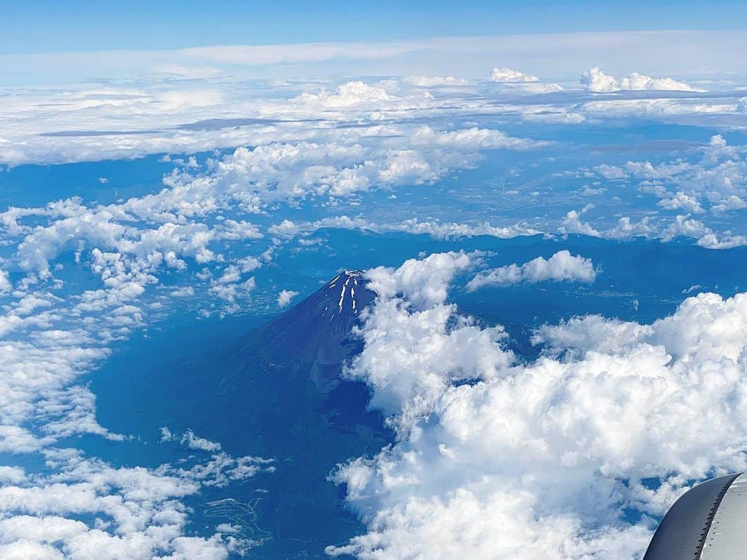 中野明海のインスタグラム：「🛫🗻飛行機に乗って 雲の塩梅が良いと寝てられない！  今日は夏富士がクッキリで、嬉しい時間でした。  そんな私を朝、じっとりと高みから 見送ってくれた #箱猫メメ 🤣😭  顔怖いです😹  #7割四角い目 #時々怖いくらい可愛い😽 #保護猫 @mkc.yoko   #富士山　#🗻」