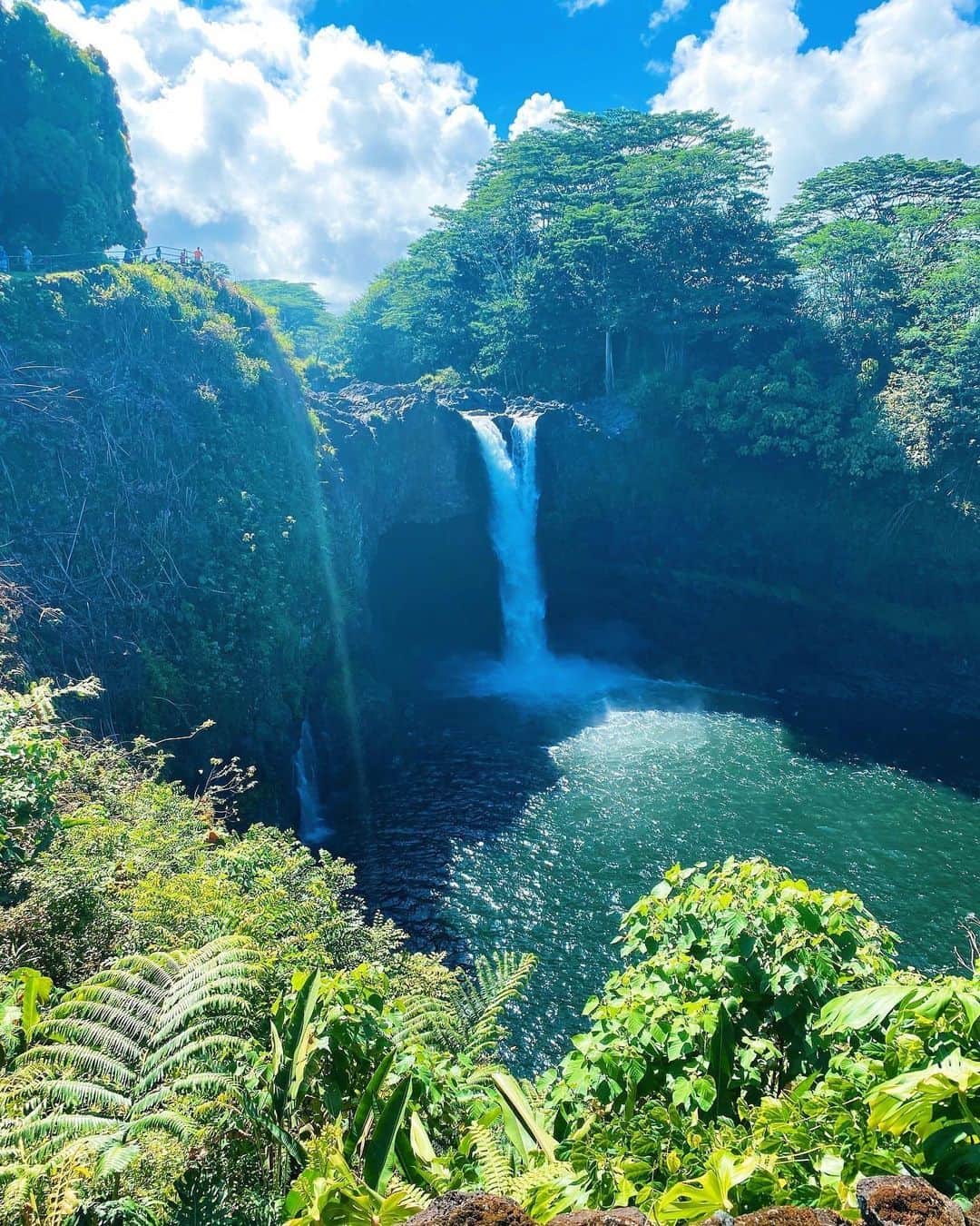 トミー バハマのインスタグラム：「We'll go chasing #waterfalls every time! Thank you, @macklemmm, for the inspiration.」