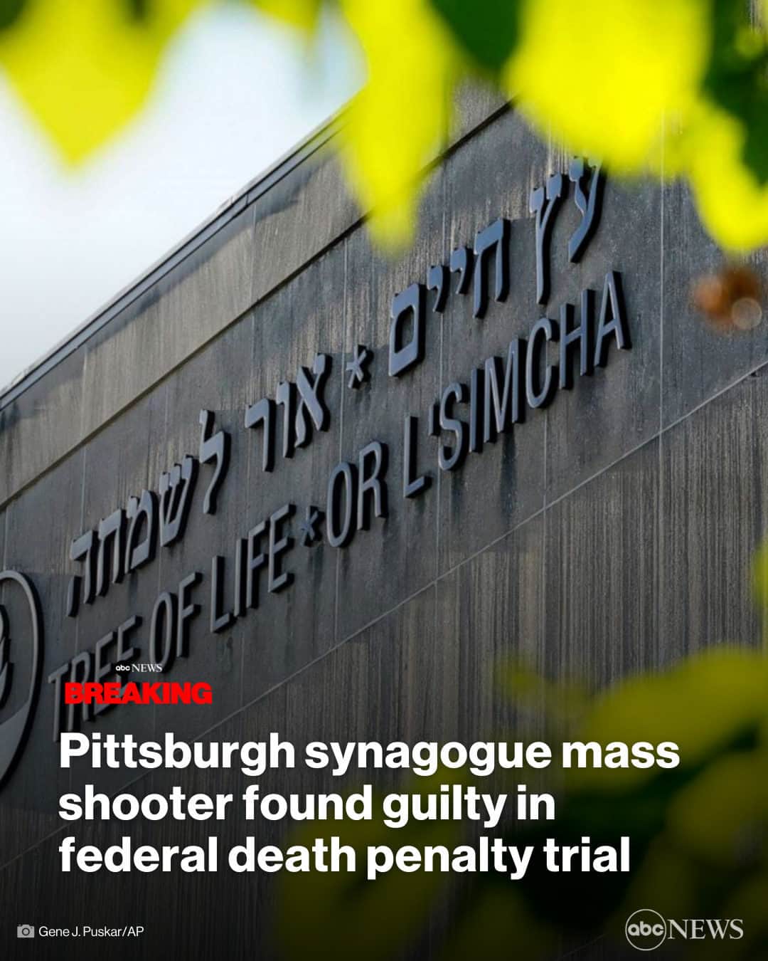 ABC Newsさんのインスタグラム写真 - (ABC NewsInstagram)「BREAKING: Gunman in Pittsburgh synagogue mass shooting found guilty in federal death penalty trial. MORE AT LINK IN BIO.」6月17日 1時09分 - abcnews