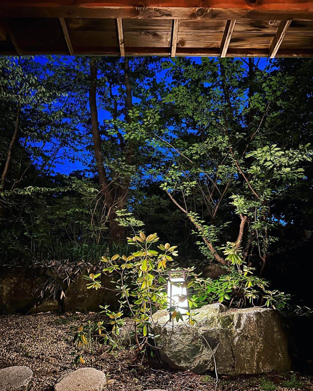 新田朝子さんのインスタグラム写真 - (新田朝子Instagram)「#Onsen treatment♨️🍚🍺🐟🥩  #温泉 #日本 #支笏湖 #北海道 #道産子 #温泉好きな人と繋がりたい #hotsprings #japan #shikotsuko #lake #hokkaido」6月17日 13時21分 - asako.nitta