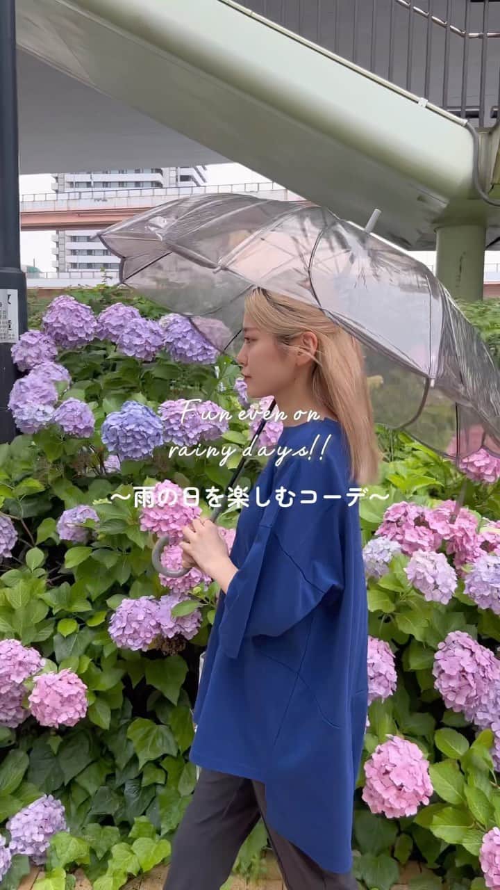 イーザッカマニアストアーズのインスタグラム