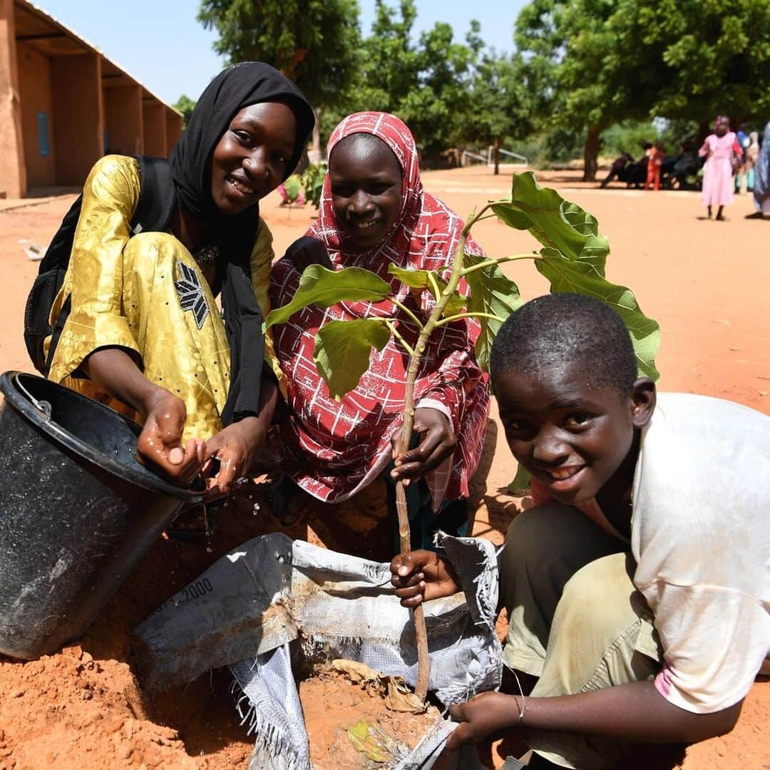 unicefのインスタグラム：「Desertification and land degradation are creating irreversible damage to our planet - impacting women and girls disproportionately.  On #DesertificationAndDroughtDay and every day, let's empower women and help them lead global efforts to restore our land back to health. #HerLand   © UNICEF/UN0535973/Dejongh」