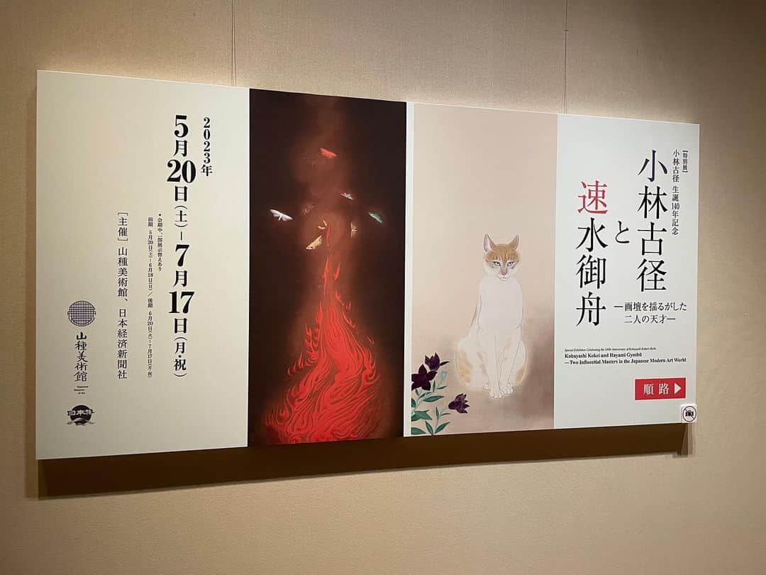 DJ AIKO 62さんのインスタグラム写真 - (DJ AIKO 62Instagram)「【ポッドキャスト好評配信中です！】  聴くアート噺（DJAIKO62）第22回は東京の山種美術館。  2023年5月20日から開催されている【特別展】 小林古径 生誕140年記念　小林古径と速水御舟―画壇を揺るがした二人の天才―について担当学芸員の竹林佐恵さんにインタビュー、ポッドキャスト番組「聴くアート噺」として配信しています。 インタビュアーはDJAIKO62、「ちょっと知れば、もっと楽しめる」がテーマの、やさしいアートについての対談です。  見どころやアート噺定番の「持って帰るなら？」にも楽しくお答えくださり、和気藹々としたインタビューになりました。ぜひお聴きください！  SpotifyやGoogle podcast、YouTubeでも聴けるようになりました！インスタ・プロフィールのリンクツリーからが便利です。   https://linktr.ee/DJAIKO62 ↑各SNSのいいねやフォロー、チャンネル登録も励みになります！また、番組を聞かれた感想・印象も是非お寄せください。   ・書き起こしや切り取り、動画への転用はお断りしています。 ・こちらが記事や番組のネタ元・きっかけとなった場合は必ずクレジット表記や番組の紹介もあわせてお願いいたします。  ・写真は公式からご提供いただきました。転用・転載、レイアウト写真としての使用、リポストなどは全てお断りしています。投稿自体をご覧いただけるようにストーリーやSNSでシェアして下さると嬉しいです。  【特別展】 小林古径 生誕140年記念　小林古径と速水御舟―画壇を揺るがした二人の天才― 2023年5月20日(土)～7月17日(月･祝) 休館日：月曜日 [但し、7/17(月･祝)は開館] きもの特典があり、入館料の割引が受けられます。 その他詳しくは→ 公式サイト：山種美術館　 https://www.yamatane-museum.jp/  #山種美術館 @yamatane_museum  #日本画  #小林古径と速水御舟 #小林古径 #速水御舟 #東京  #恵比寿  #東京アート散歩  #美術館巡り  #美術館  #学芸員DJのDJAIKO62  #DJAIKO62のアート噺  #聴くアート噺 #アート噺 #ポッドキャスト #インタビュー  #学芸員  #DJAIKO62  #アナウンサー #おすすめ美術展 #museum #tokyo #artexhibition  #ebisu #japanesepainting」6月17日 13時06分 - djaiko62
