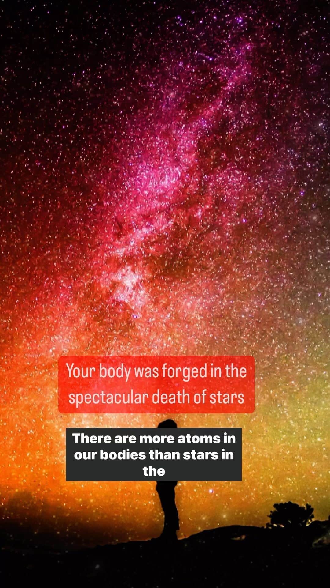 TED Talksのインスタグラム：「What is our body actually made of? 🤔Yes, 96% of our human bodies consist of only 4 elements: hydrogen, carbon, oxygen and nitrogen. And a bit of stardust, explains astrophysicist Enrico Ramírez-Ruiz. Taking us an epic journey across space and time, he explains how a supernova explosion, astronomy and chemistry are intimately connected. “We are life forms that have evolved to inhale the waste products of plants,” he says. “But now you know that we also inhale the waste products of supernova explosions.” Want to learn more? Visit the link in bio to watch the full TED Talk.」
