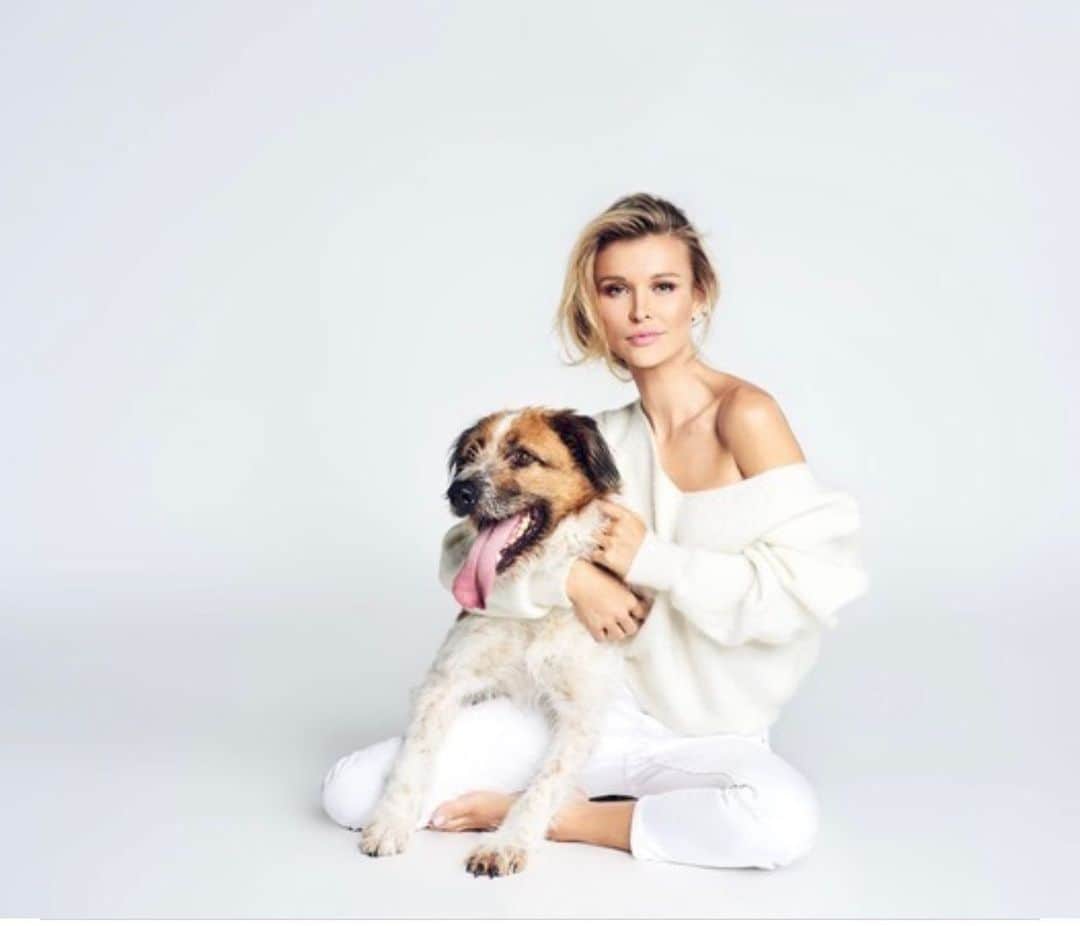 ジョアンナ・クルーパさんのインスタグラム写真 - (ジョアンナ・クルーパInstagram)「💕BE AN ANGEL FOR ANIMALS 💕 Help us Help Animals in Need  (DONATIONS NEEDED)  Hello Everyone! It’s @joannakrupa, @gabigutierrez25 , and @martaandretti  and we are Angels For Animal Rescue Inc. a small 501c3 non profit organization.  Angels for Animal Rescue is a rescue group dedicated to helping save the lives of animals who are in need of rescue, such as special needs animals, senior animals, those with medical issues, those facing euthanasia for no fault of their own, and those in hoarding situations all looking forward too and deserving a second chance at life in a loving and caring forever home.  At Angels For Animal Rescue we rescue a variety of species of animals such as dogs, cats, farm animals, reptiles, birds and rodents from animal shelters or from people who can not care for them any longer. We DESPERATELY need funding for our vet bills for the animals we take in and for food and supplies for the animals. Vet prices are continuously going up and we need your help to continue to take in such special animals.  Together with your help we ask you to please consider making a donation to Angels For Animal Rescue Inc so we can help make a difference in the lives of animals in need like, Jerry , Ari , Boba, Pie , Oona, Jack, Jax and our latest large animal rescue Cami the horse who we rescued from being SLAUGHTERED and sweet little ONE EARED bunny Boba who is recovering from a leg injury.   In addition, we would also like to provide testing to animals which may be afflicted with MPS(Mucopolysaccharidosis, genetic lysosomal storage disorder) and help colony feeders by providing them with food for their colonies.   #specialneedsaanimals #seniordogs #senioranimals #joannakrupa #animalrescue #martaandretti #help #adoptdontshop #kindness #usa #poland #explore  #pets @angels_for_animal_rescue」6月17日 7時30分 - joannakrupa