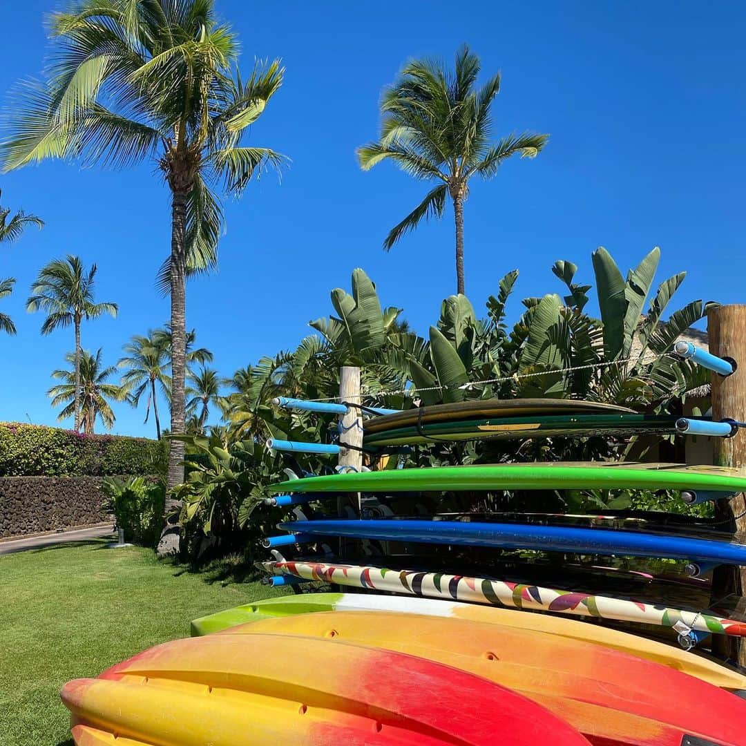 レイチェルロイさんのインスタグラム写真 - (レイチェルロイInstagram)「Nā kala ānuenue 🧡🌺  #RachelRoy #Colors #Nature #Hawaii」6月17日 9時33分 - rachel_roy