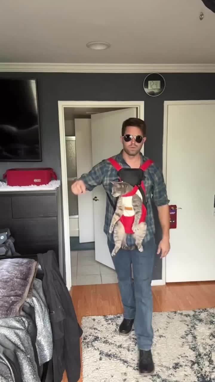 Cats of Instagramのインスタグラム：「From @nathanthecatlady: "We makin #catdad trendy. 😅. Gotta love late night purchases." #catsofinstagram」