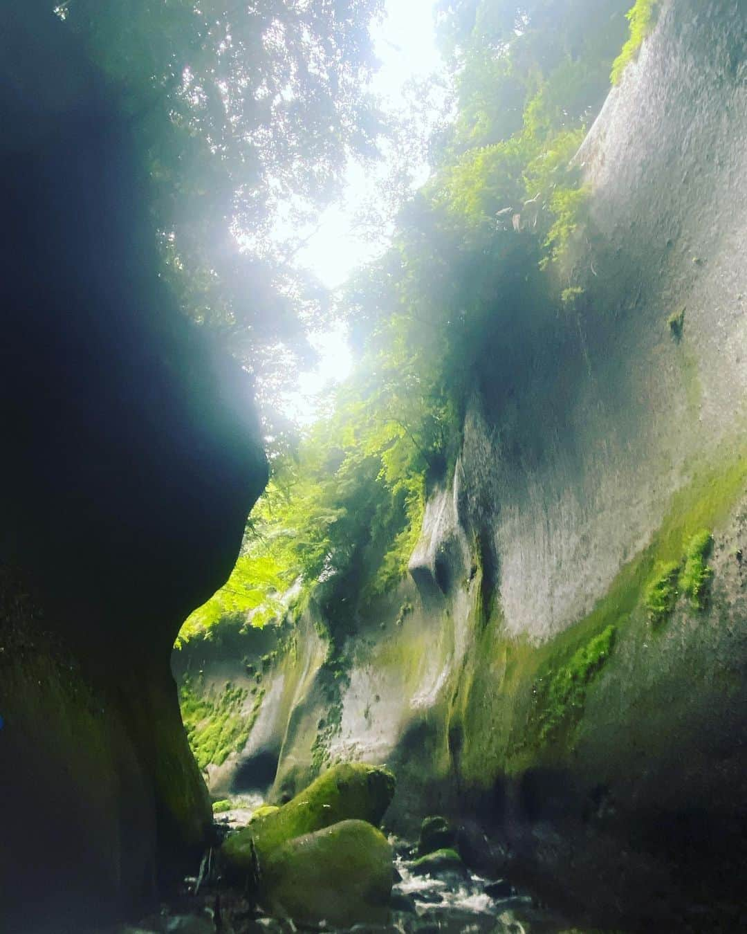 大島央照さんのインスタグラム写真 - (大島央照Instagram)「大分にて、由布川峡谷パックラフトツアーに参加、撮影。  お天気の心配も少しありましたが、スタッフの方々のしっかりサポートで安心して参加できて、綺麗な景色が見えてよかったです✨晴れてたら、また違う景色に出会えるんだろうなーと、またいつか見てみたいです！！  ツアー終わり、ほっとしたところで、急な階段がー、、それを登るのがこのロケで1番きつかったです😂笑  ここでのロケでは、FUJIFILM XP140と一眼レフ使用、写真はオンエアーにてぜひ！📸  放送BSフジ 7月22日　am：5時〜 他、TOS、九州、各地で順次放送 with @0214hiro   #わがまま気まま旅気分 #大分 #oita #由布川峡谷　 #パックラフト #ドローン #空撮 #撮影 #写真 #fujifilm  #photo #感謝」6月17日 9時59分 - chiakioshima