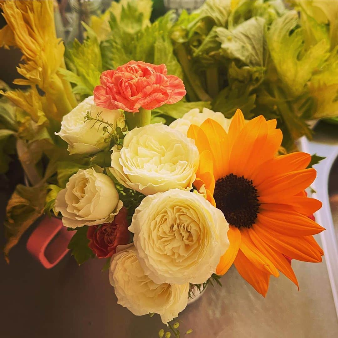 藤田朋子さんのインスタグラム写真 - (藤田朋子Instagram)「セロリとひまわり  #花 #flowers #シュール #植物 #キッチン」6月17日 11時44分 - chiendormant