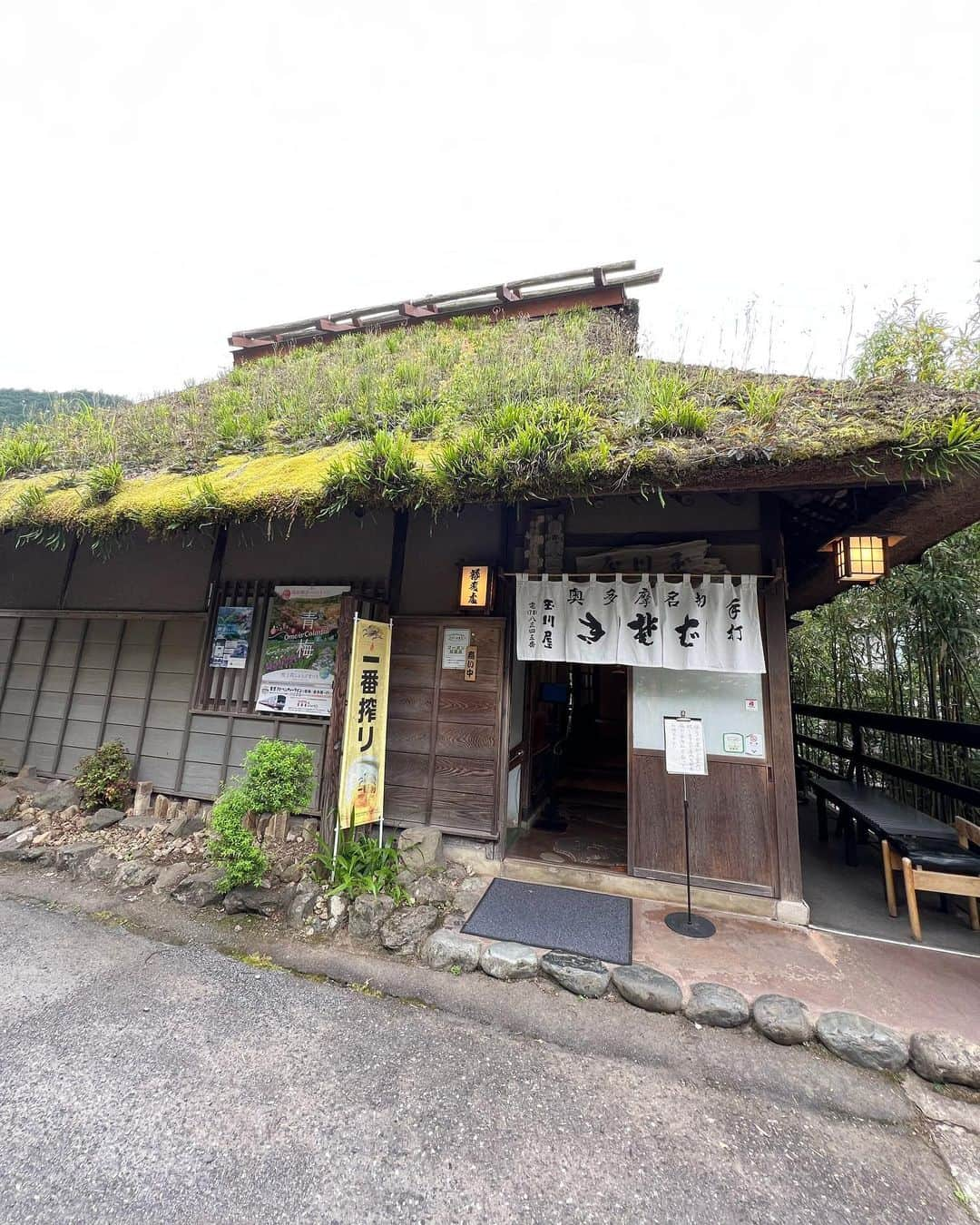 星南のぞみさんのインスタグラム写真 - (星南のぞみInstagram)「御嶽山⛰️  同じ事務所のはるちゃんと登ってきました‼︎  御嶽山からロックガーデンのコース 頂上までかなり坂道が多く… 険しかったですがお話したり写真撮ったりしながら頑張りました💪 暖かくなってきたので自然の変化にも楽しみながら登りました！  ロックガーデンは滝が２つもあって、川渡りは何回しただろうというぐらい渡り…コケも至る所に生えてて、まるでジブリの世界でした🌳  そして帰りには駅の近くのお店で日本酒も頂きました🍶  #御嶽山 #ロックガーデン  #澤乃井  #小野春花 さん」6月17日 11時39分 - seina_nozomi