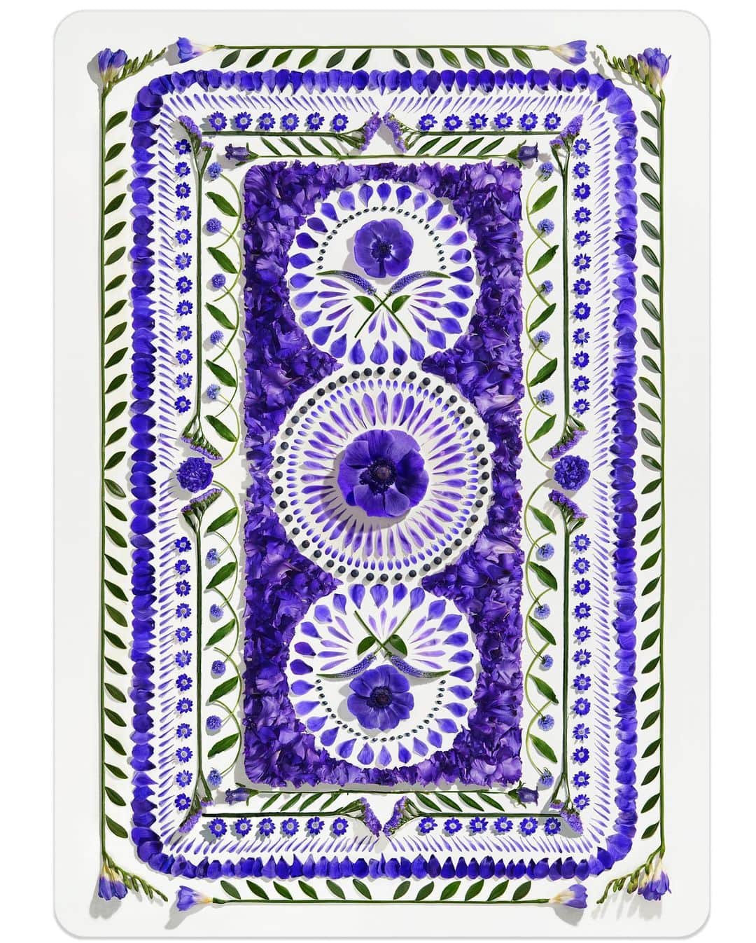 吉田ユニさんのインスタグラム写真 - (吉田ユニInstagram)「PLAYING CARDS  COVER #playingcards #flower #red #purple」6月17日 21時05分 - yuni_yoshida