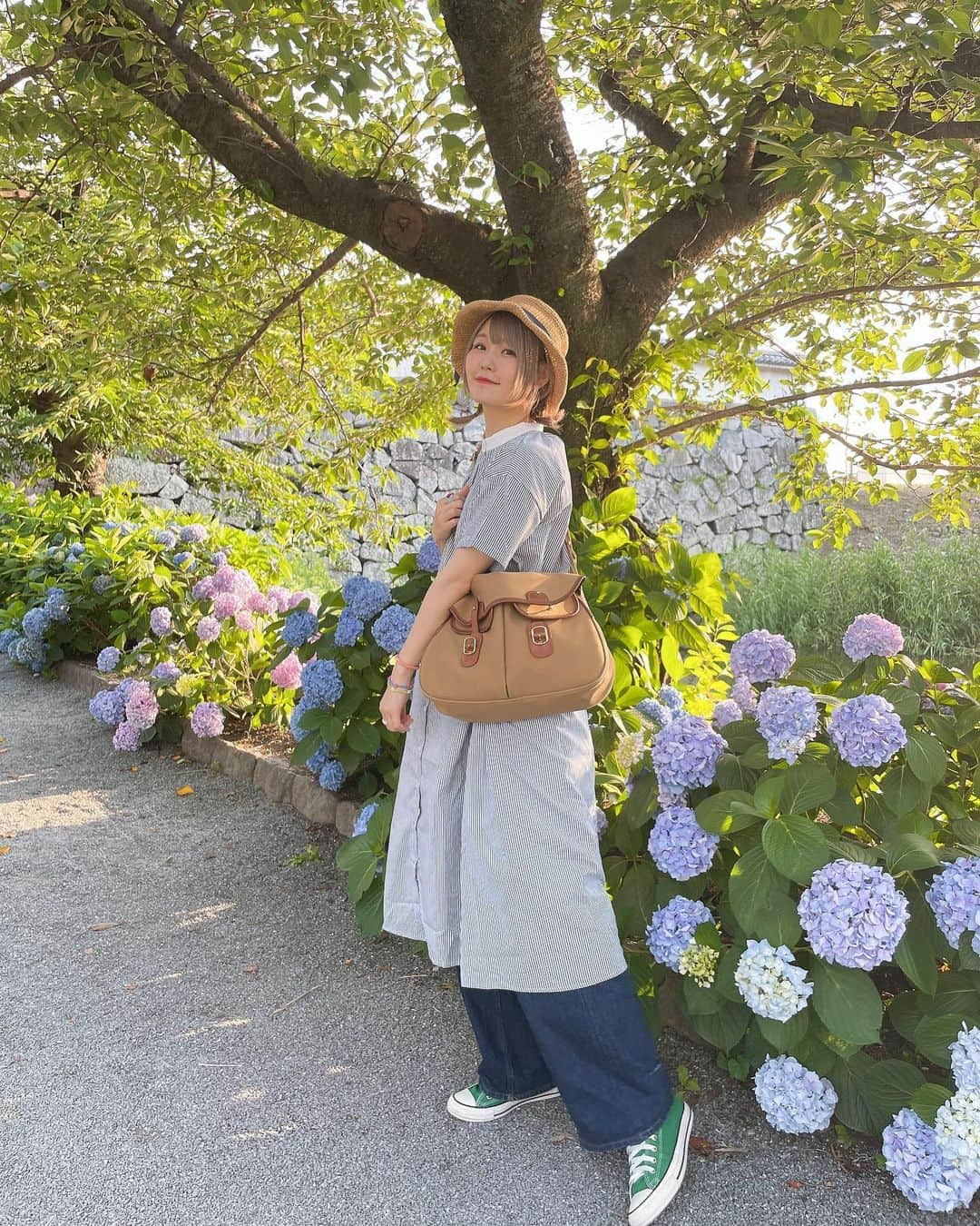 ハラミちゃんさんのインスタグラム写真 - (ハラミちゃんInstagram)「紫陽花みつけた🍃💠 𓂃𓈒𓏸︎︎︎︎⁡ ͛ @merlotcamp   #merlot  #merlot_code」6月17日 21時13分 - harami_piano