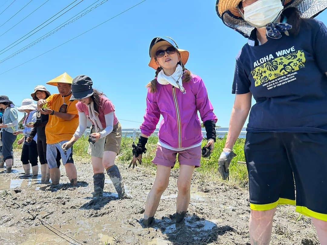 熊谷真実さんのインスタグラム写真 - (熊谷真実Instagram)「みんなで田植え。  最高のお天気！ 一列になって苗を植えました。  田んぼに足を入れて入って気持ちよかったです  みんなで水路で足を洗いました。  #スマイルベリーファーム  #浜北 #佐伯泰人 #田植えしました #熊谷真実」6月17日 21時15分 - mami_kumagai310